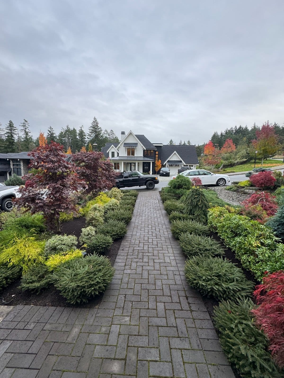 Beautiful Pathway Transformation at Bear Mountain