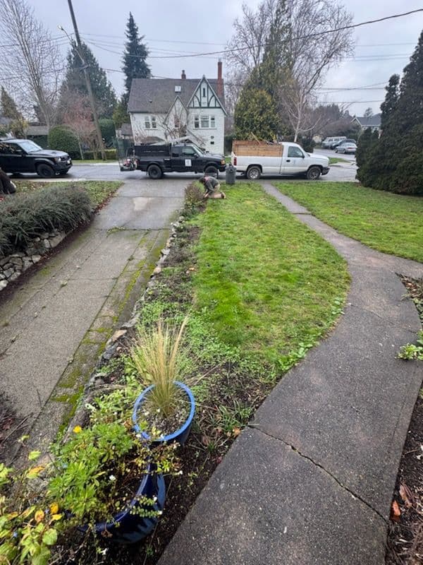 Gallery photos for Garden and Lawn Maintenance - Stunning Curb Appeal: Image #1