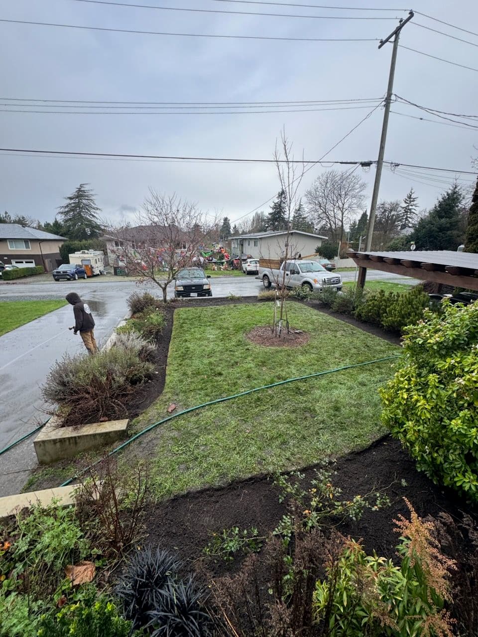 Project Enhancing Your Garden with Precise Edging image