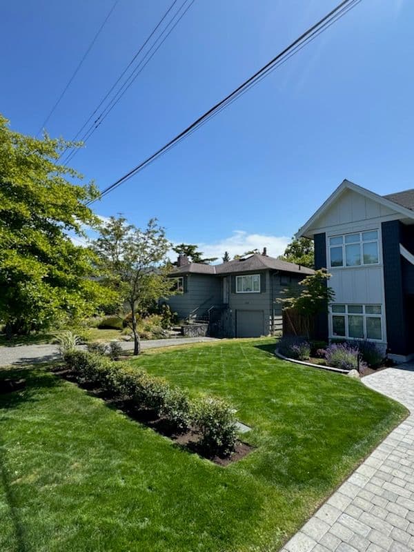 Project Expert Lawn Makeover by The Friendly Gardener image