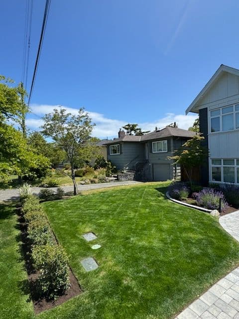 Expert Lawn Makeover by The Friendly Gardener