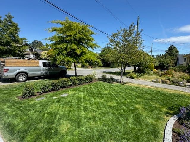 Gallery photos for Expert Lawn Makeover by The Friendly Gardener: Image #3