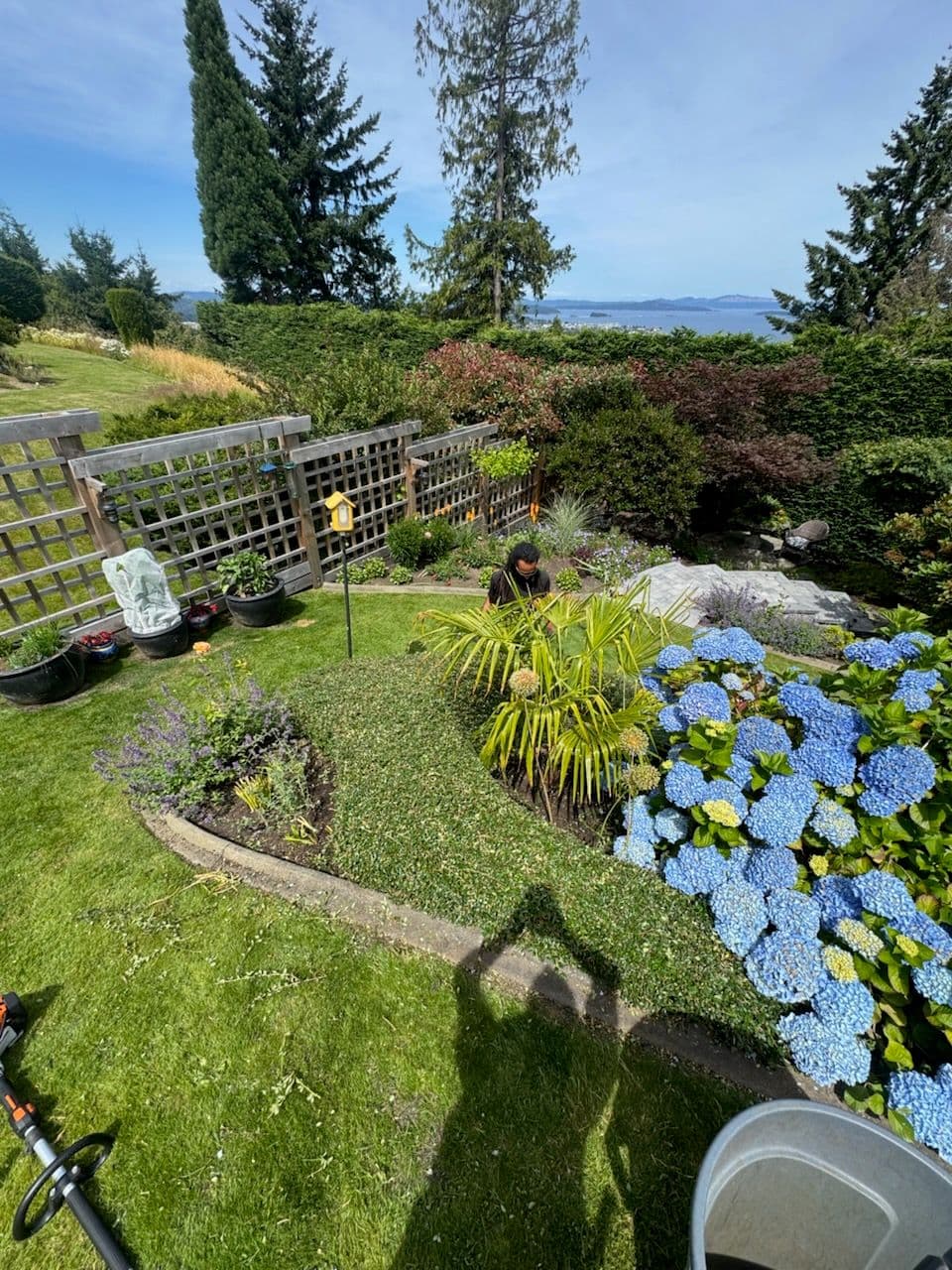 Project Transforming Gardens in Victoria's Scenic Beauty image