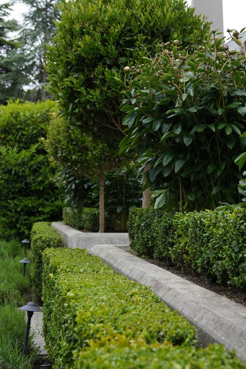 Award-winning Design Expertise's image