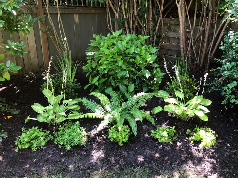 Personalized Garden Care's image