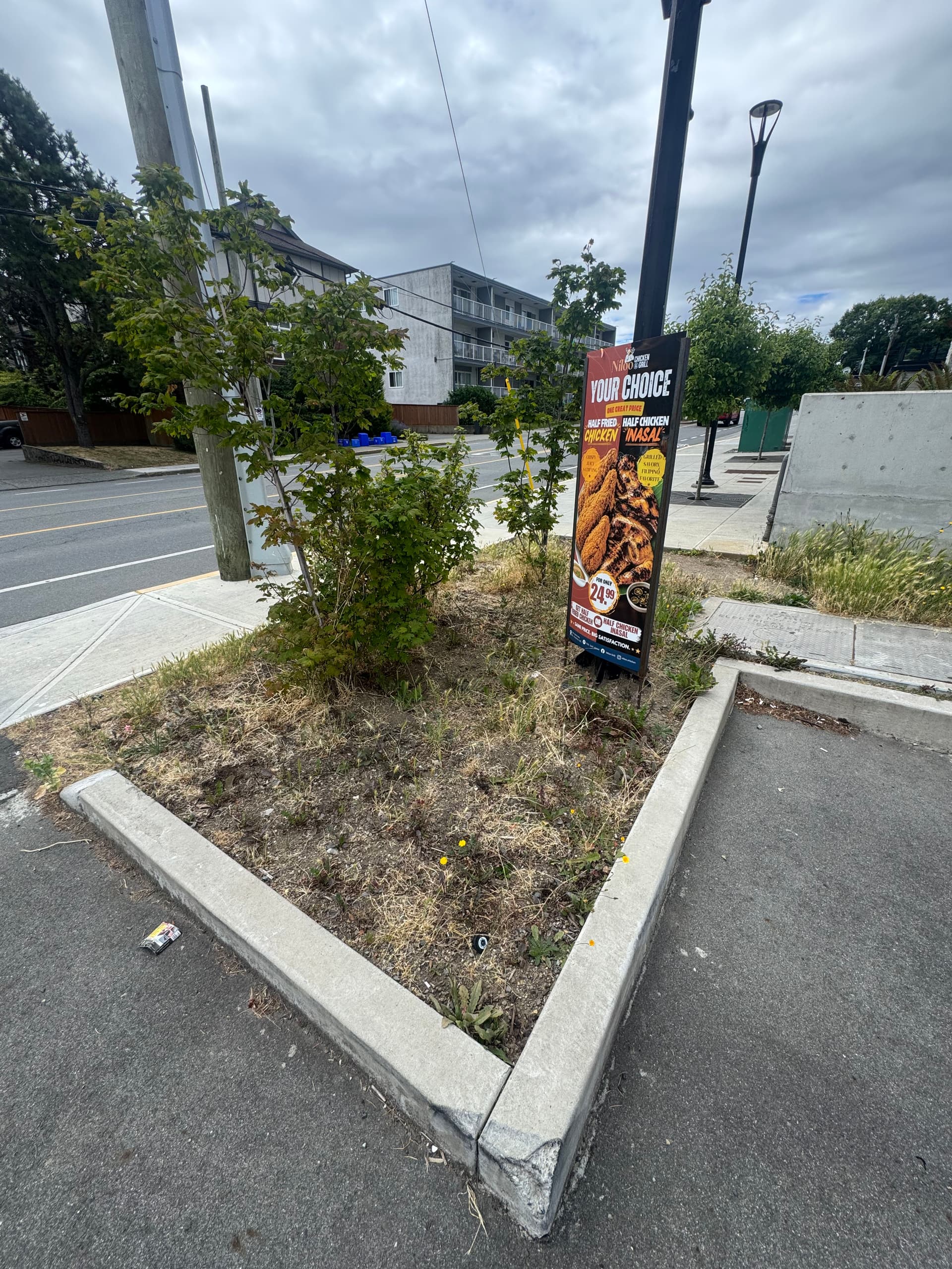 Gallery photos for Fresh Mulch and New Plants Make a Huge Curb Appeal Difference: Image #3
