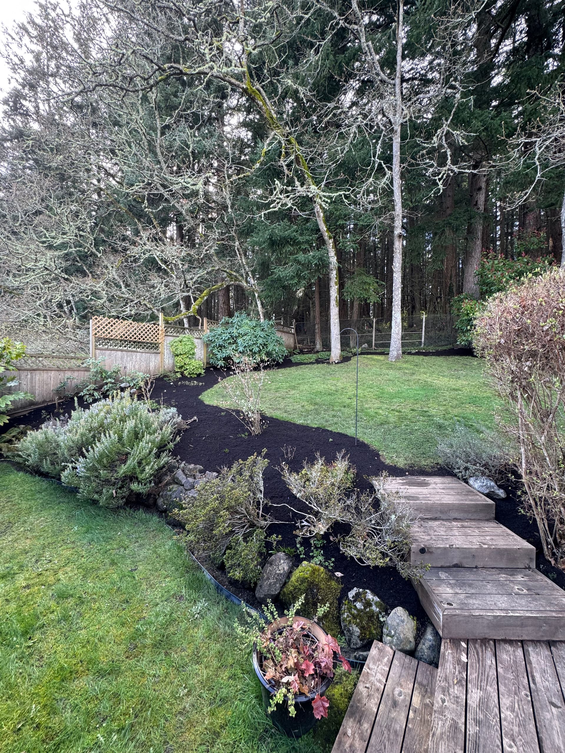 Creating a Tranquil Garden Escape image