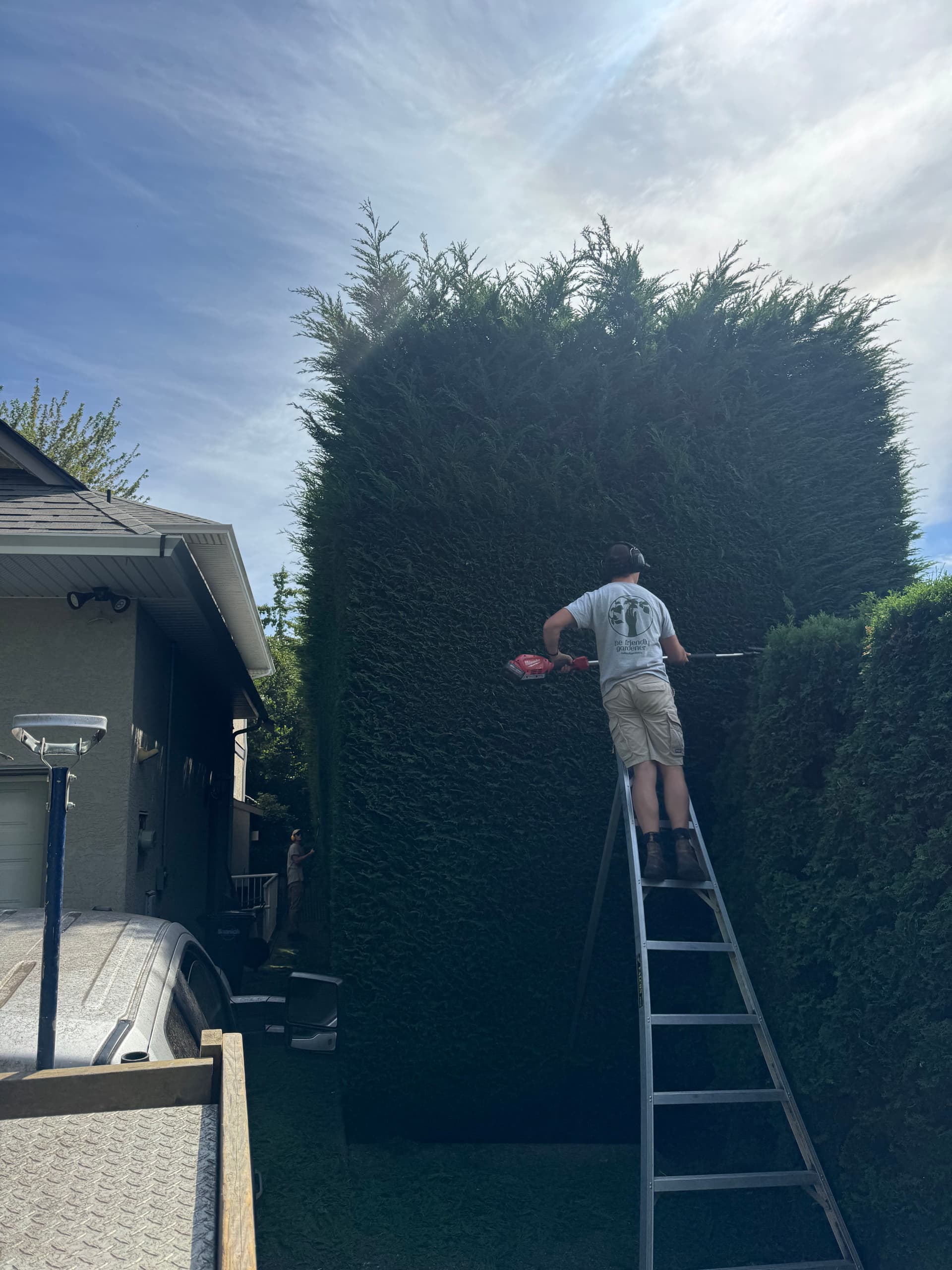Tall Hedge Trimming That Most People Won't Touch image