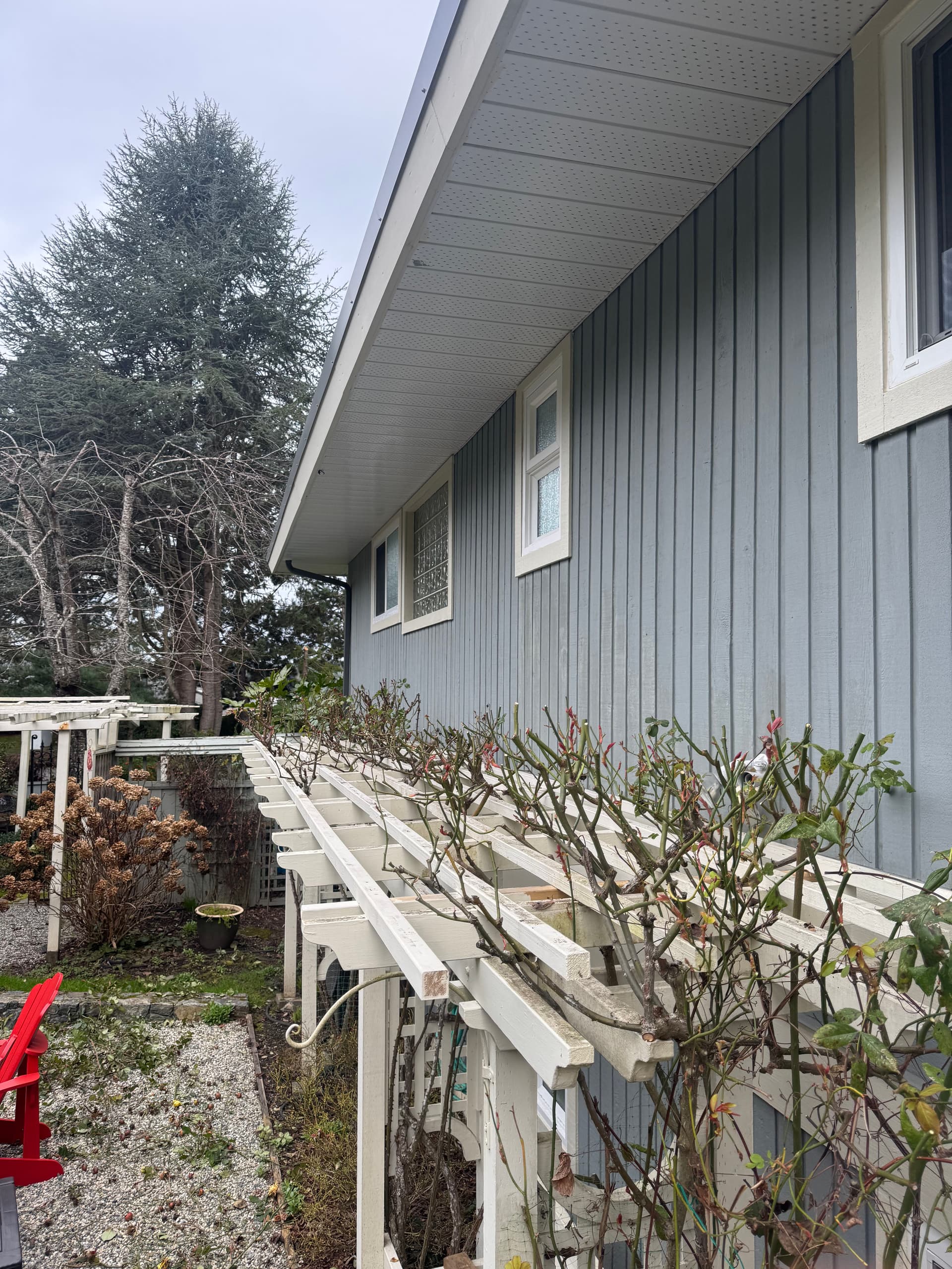 Gallery photos for Springtime Hedge Pruning Alert from The Friendly Gardener: Image #1