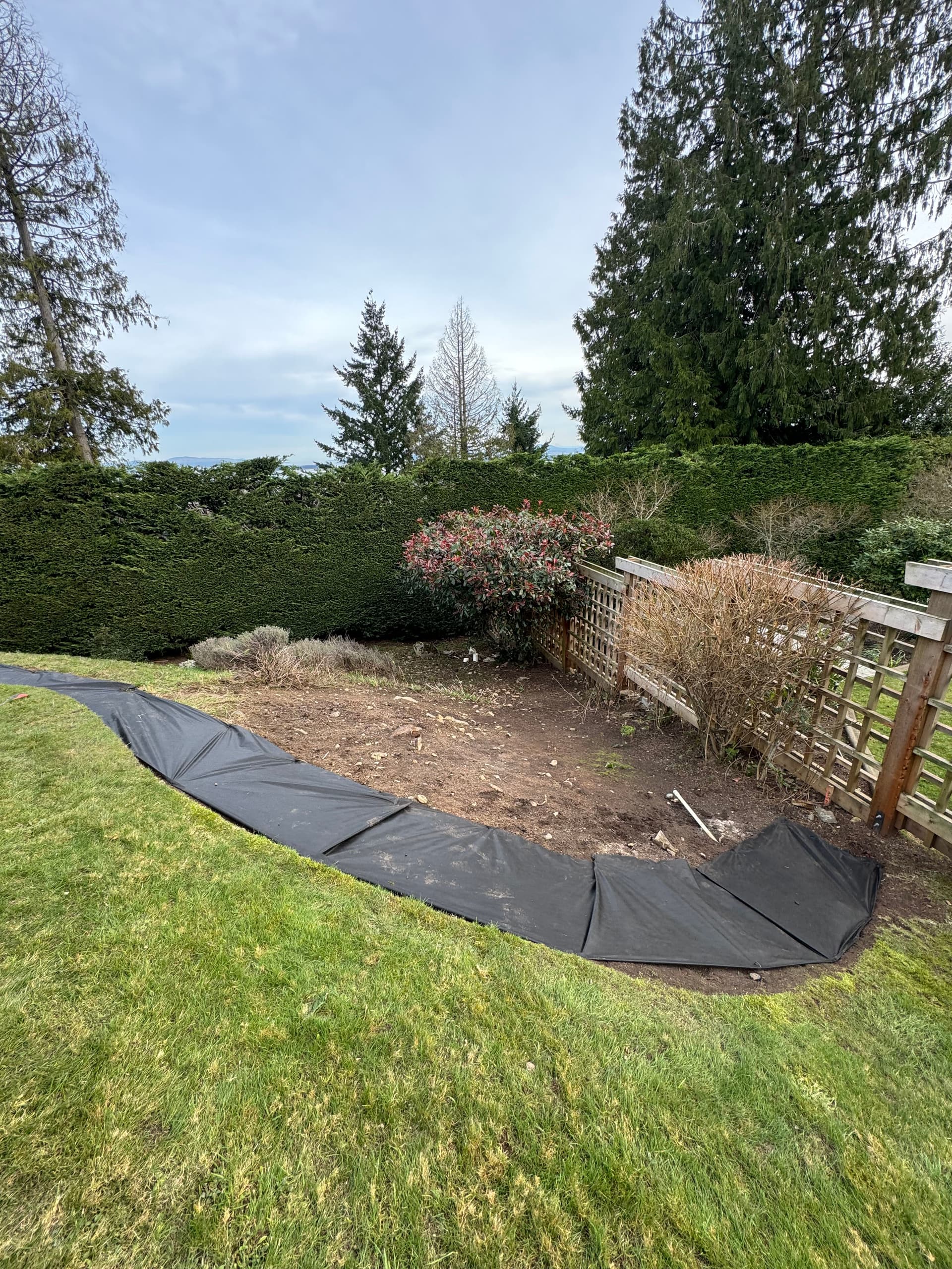 Gallery photos for Garden Makeover with Rocks and Soil Preparation: Image #2