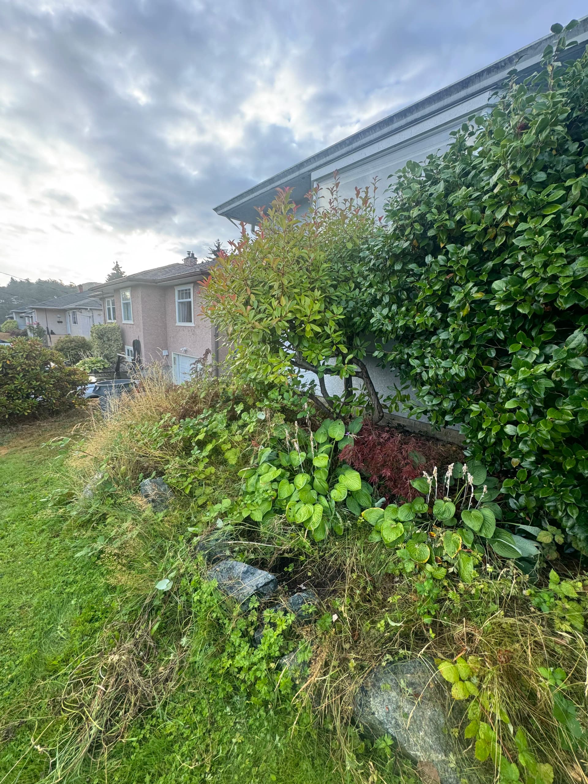 Gallery photos for Garden Bed Cleanup That Lets the Good Plants Breathe: Image #1