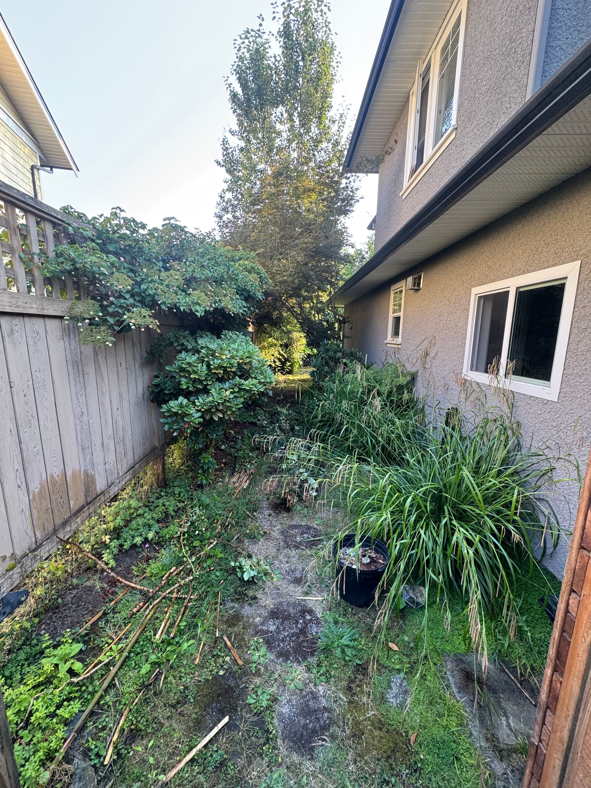 Gallery photos for Side Yard Gone From Overgrown to Clean Stone Pathway: Image #1