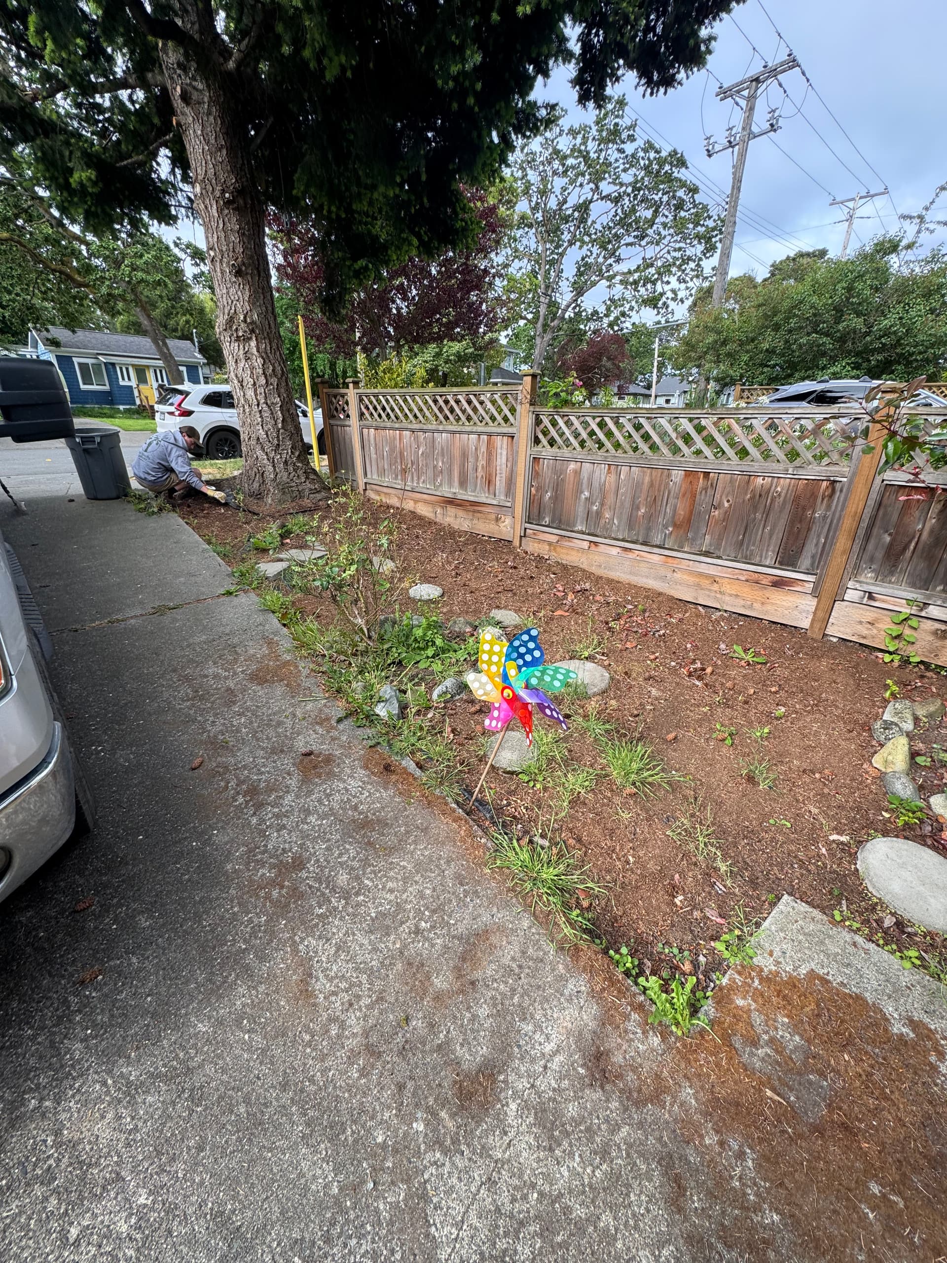 Gallery photos for Front Yard Garden Installation That Actually Fits the Space: Image #1