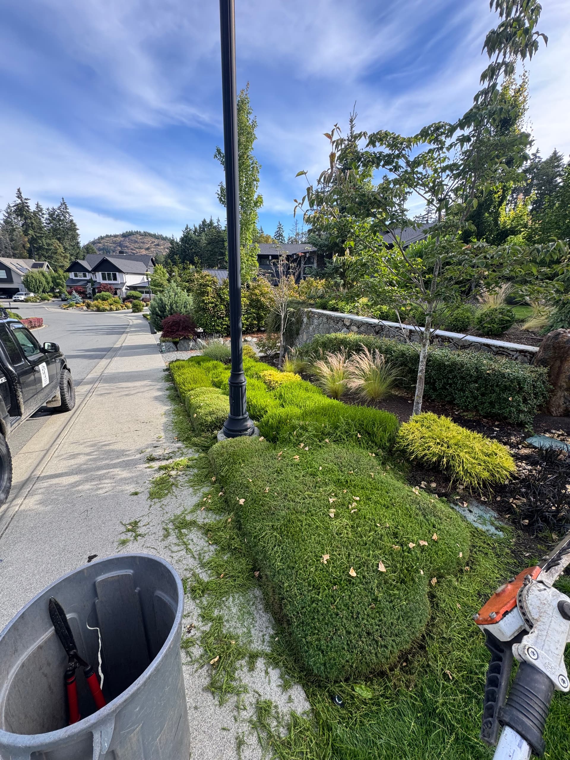 Gallery photos for Heather Pruning That Makes the Whole Yard Look Sharp: Image #1
