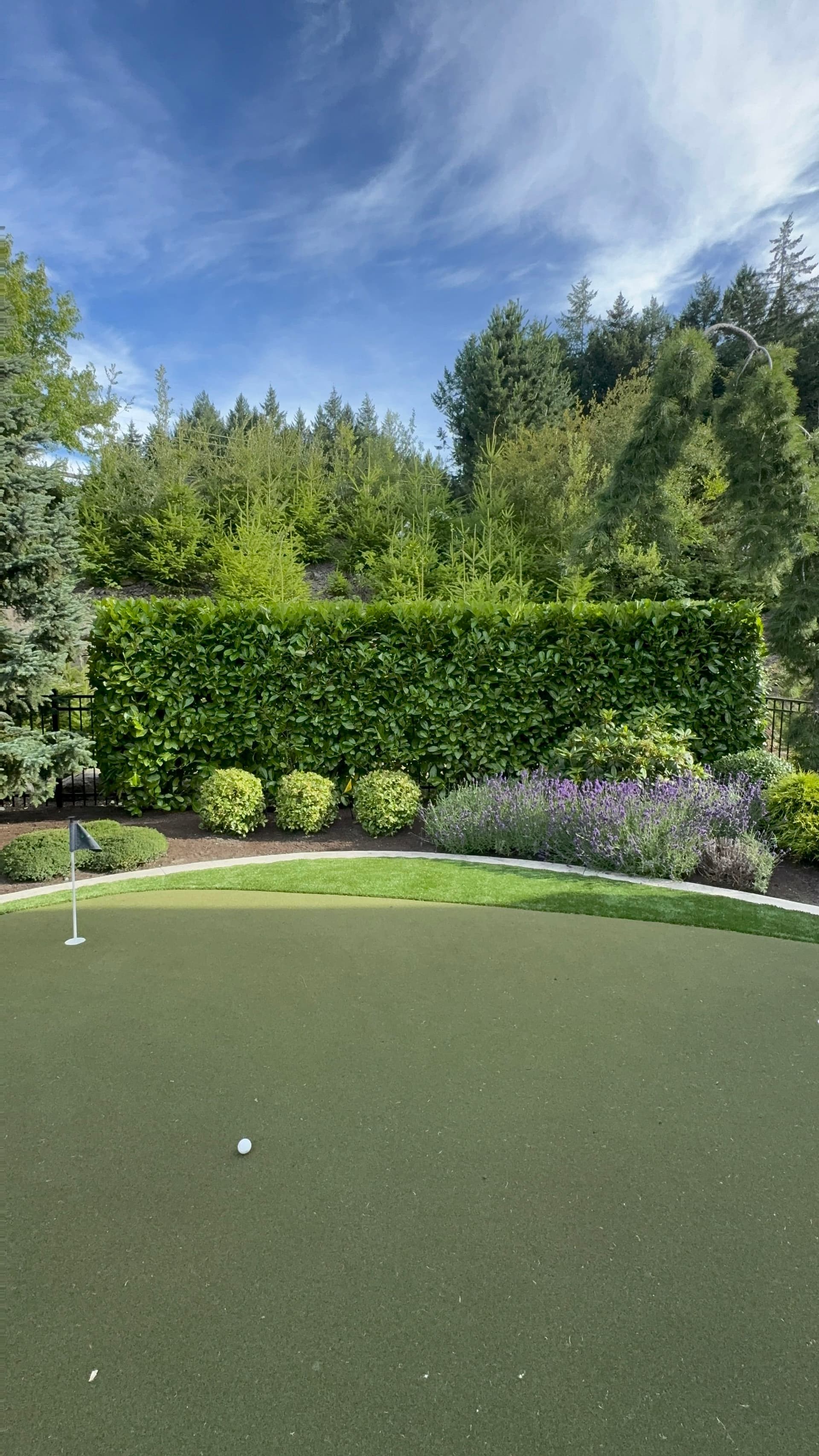 Gallery photos for Hand-Shaped Shrubs That Make a Garden Worth Spending Time In: Image #2