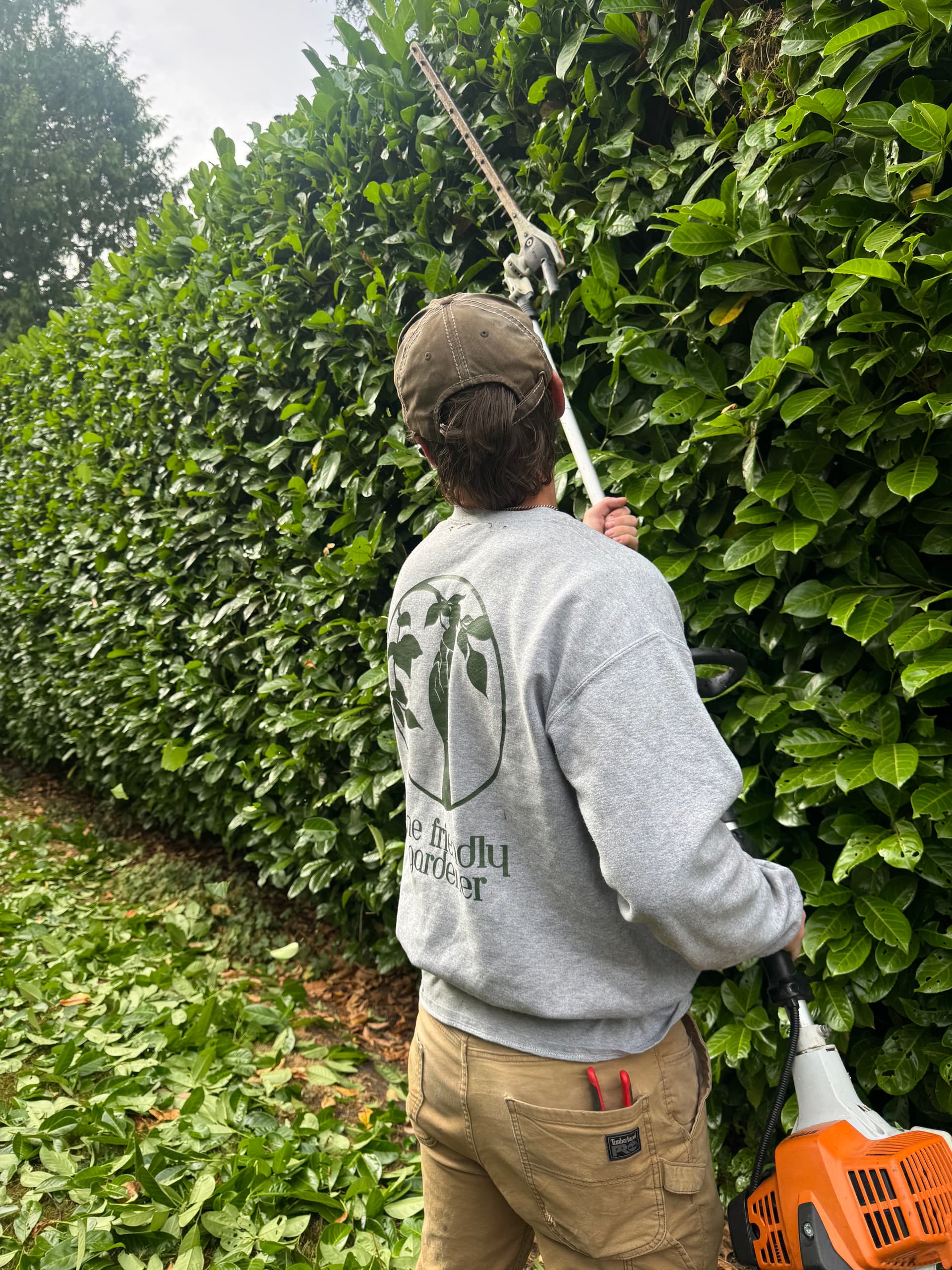 Josh Is Hitting His Stride With Hedge Trimming image