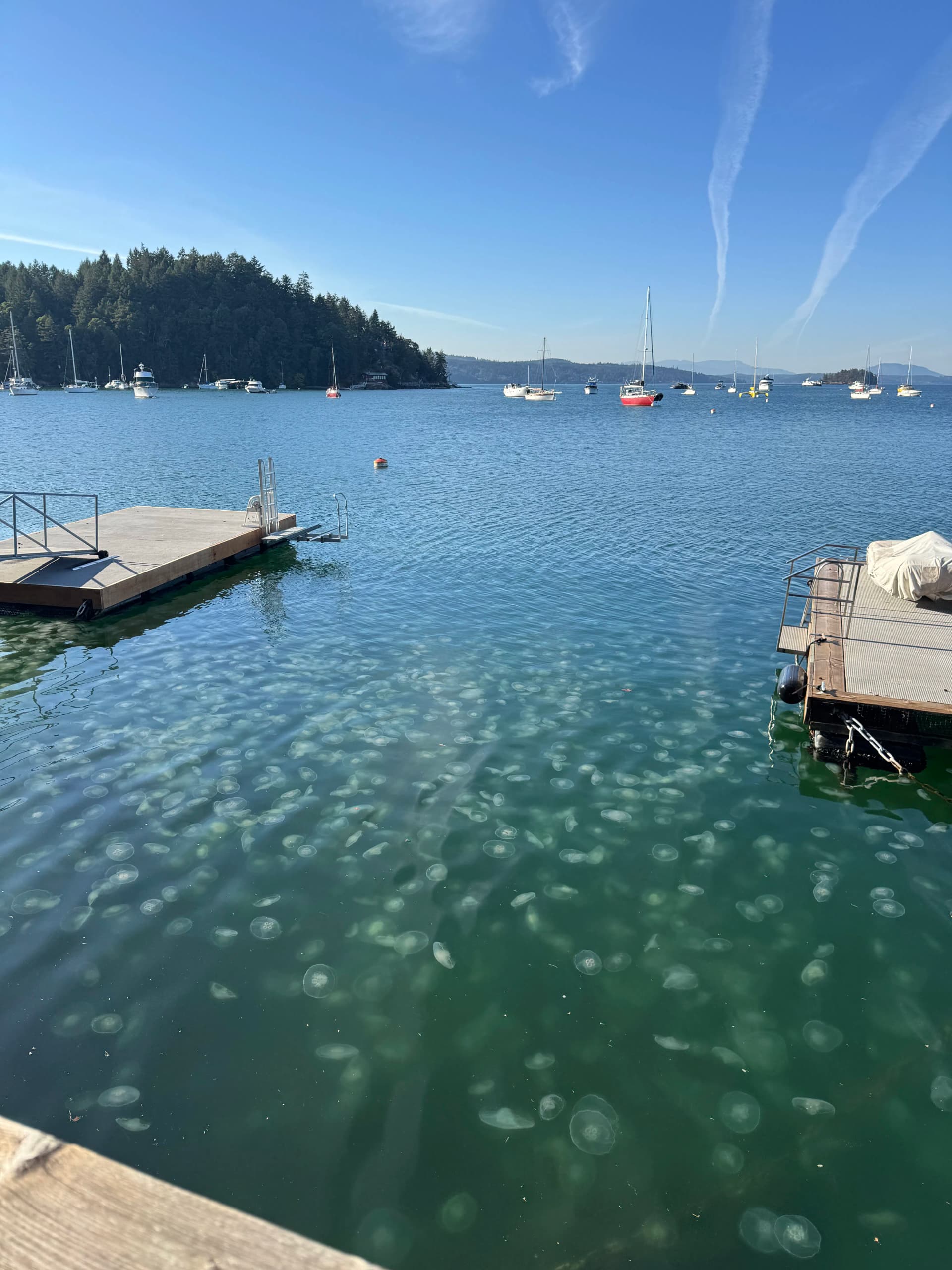 Gallery photos for Island Garden Care With Views That Stop You Cold: Image #1