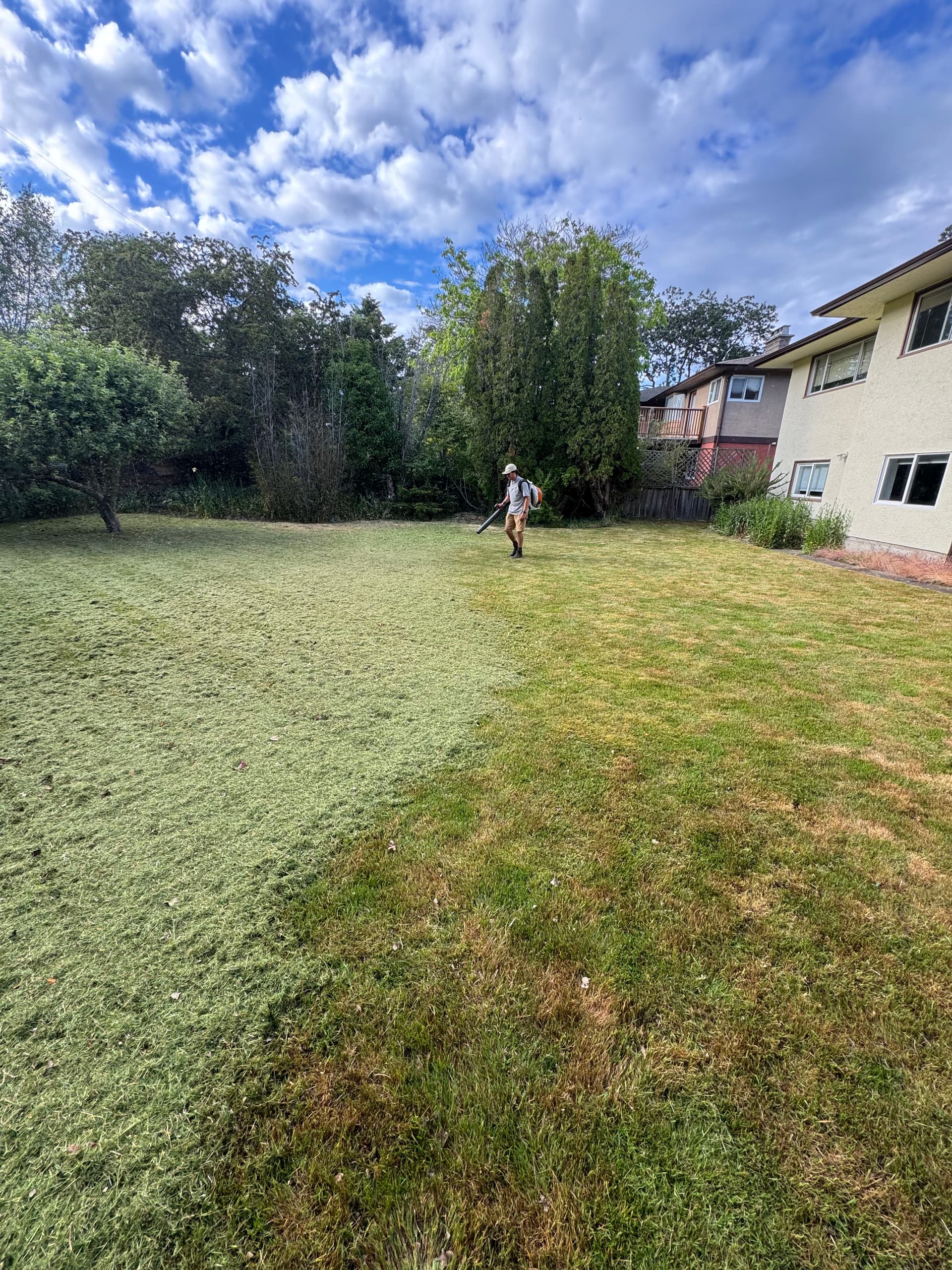 Gallery photos for Overgrown Lawn Brought Back Under Control: Image #1