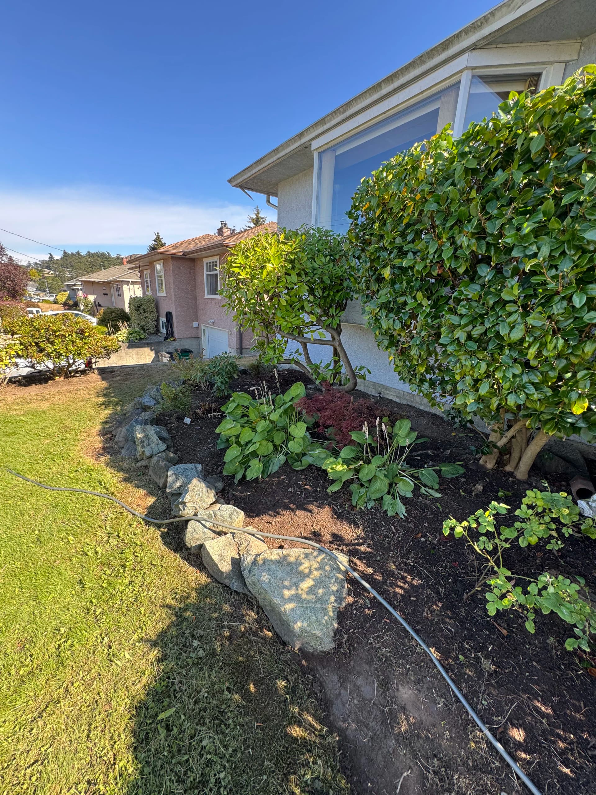 Garden Bed Cleanup That Lets the Good Plants Breathe image