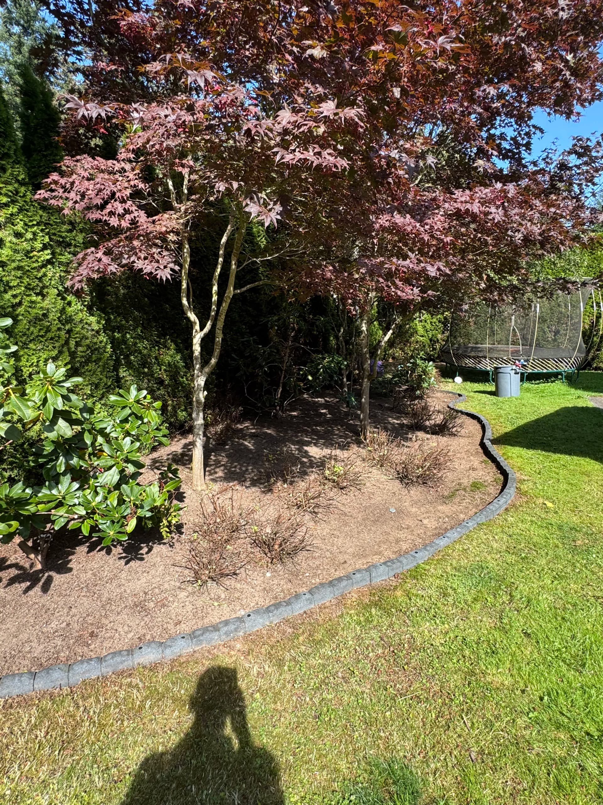 Gallery photos for Fresh Mulch Makes Your Planting Beds Look Sharp: Image #1