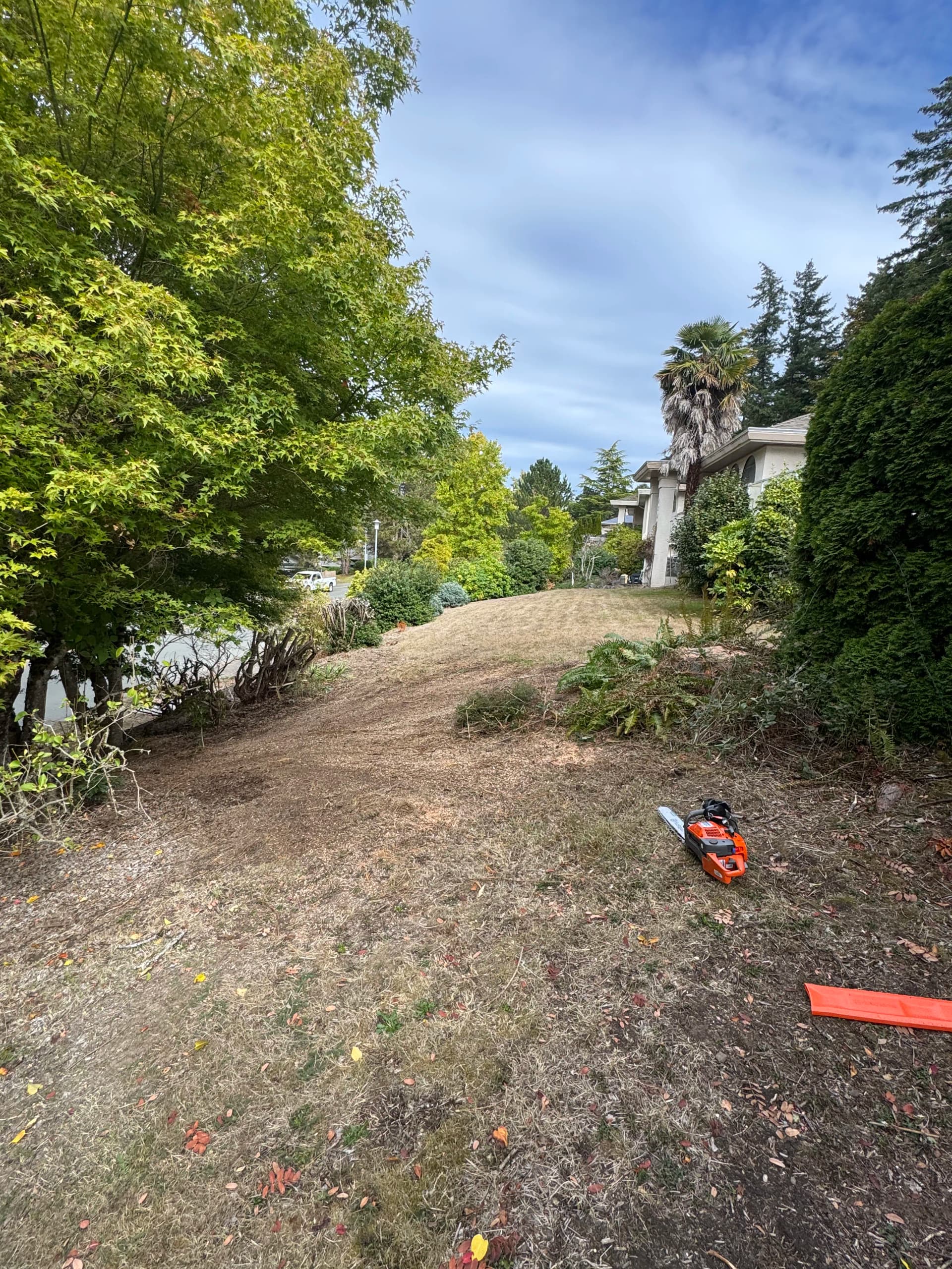 Gallery photos for Dead Tree Removal and Garden Cleanup Done Right: Image #2
