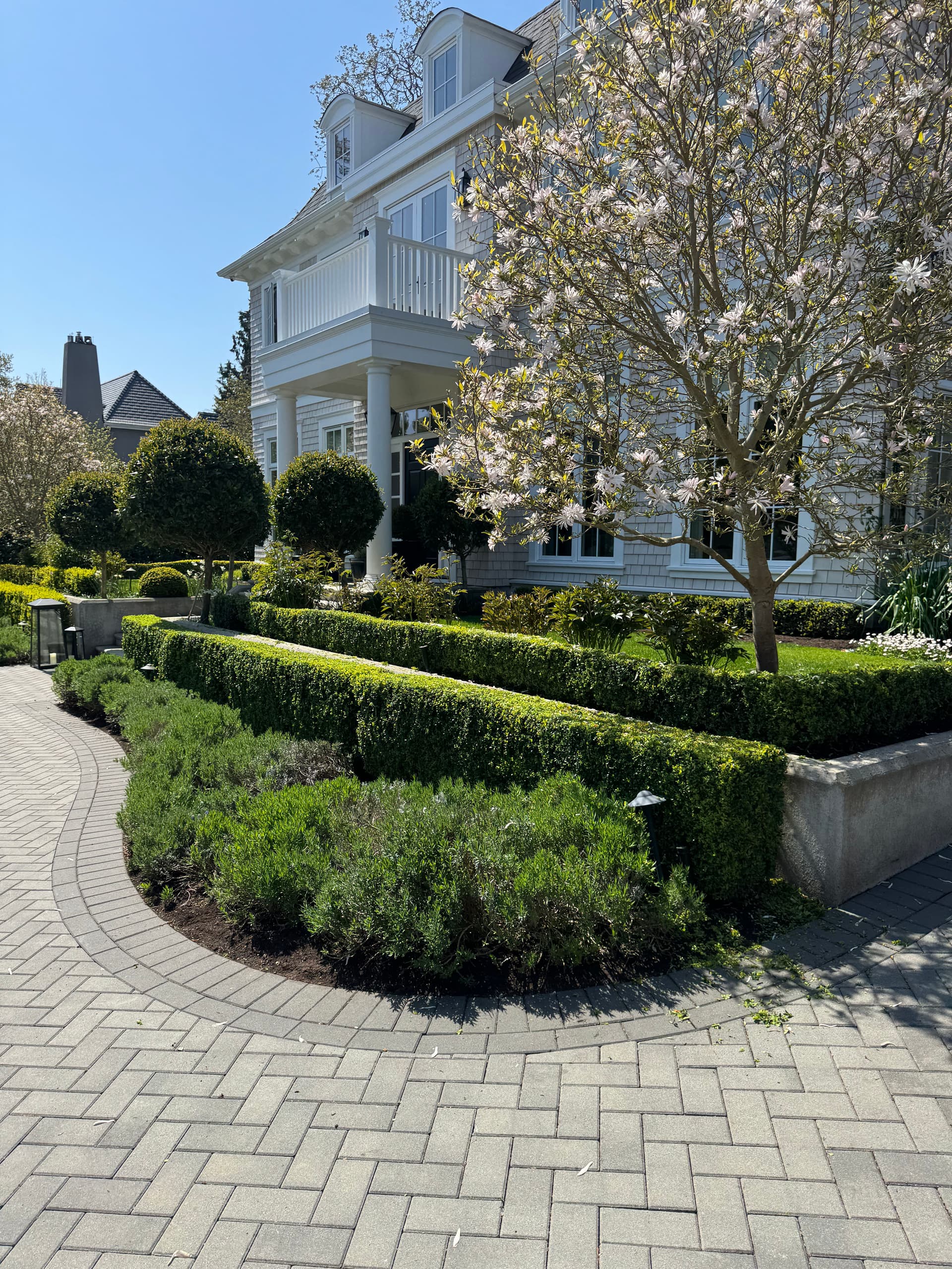 Garden Maintenance and Hedge Perfection image