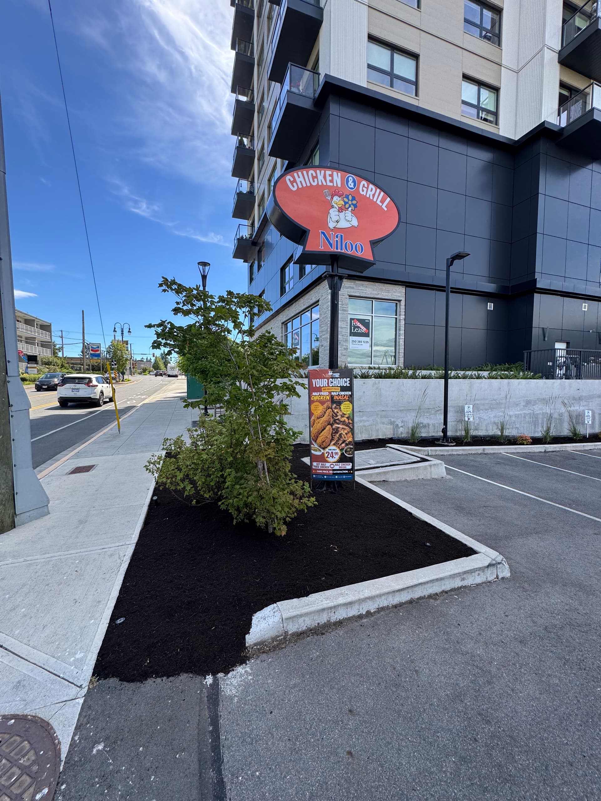 Gallery photos for Fresh Mulch and New Plants Make a Huge Curb Appeal Difference: Image #2