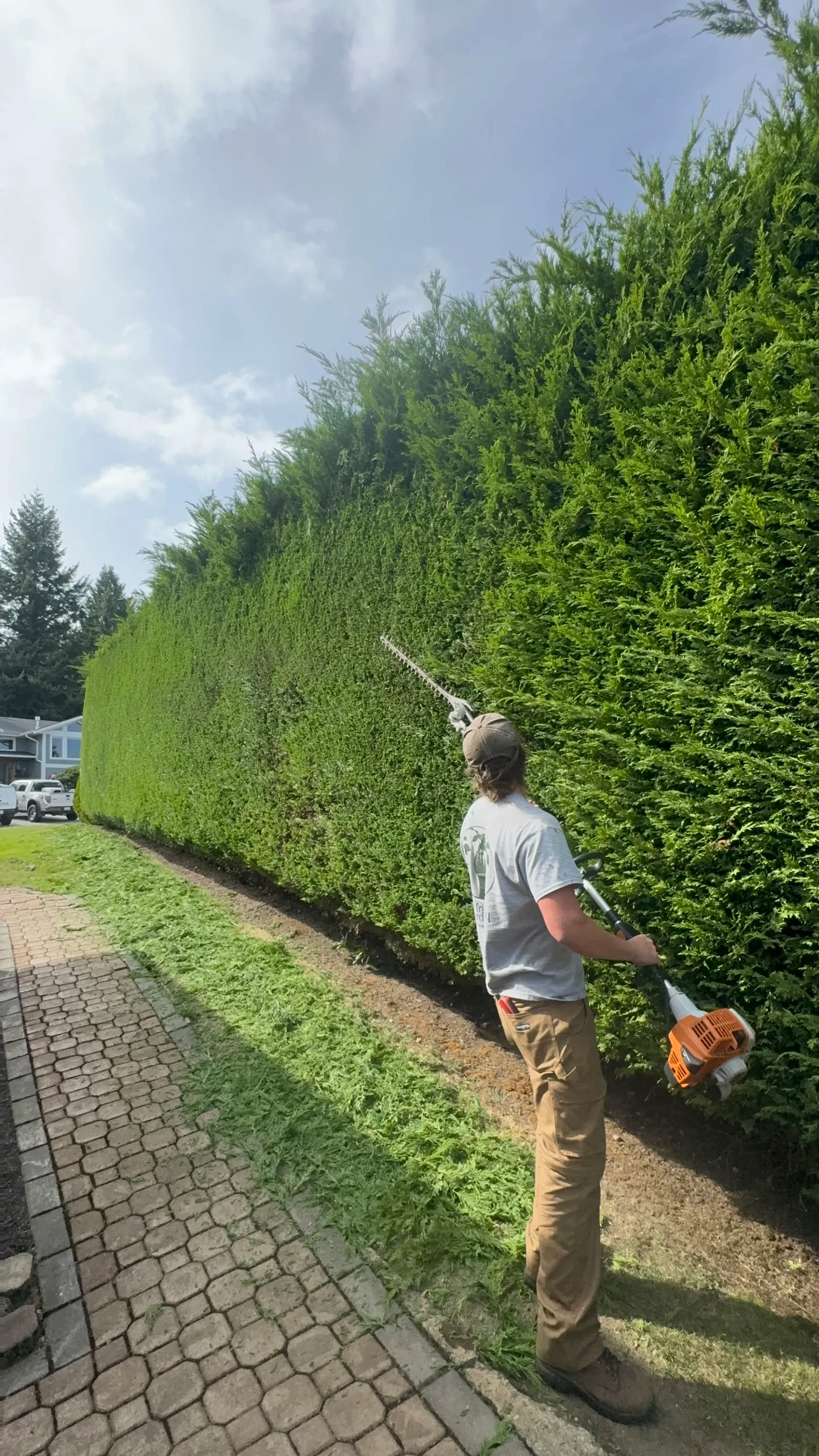 Gallery photos for Josh and Isaiah Tackle a Towering Cedar Hedge: Image #2