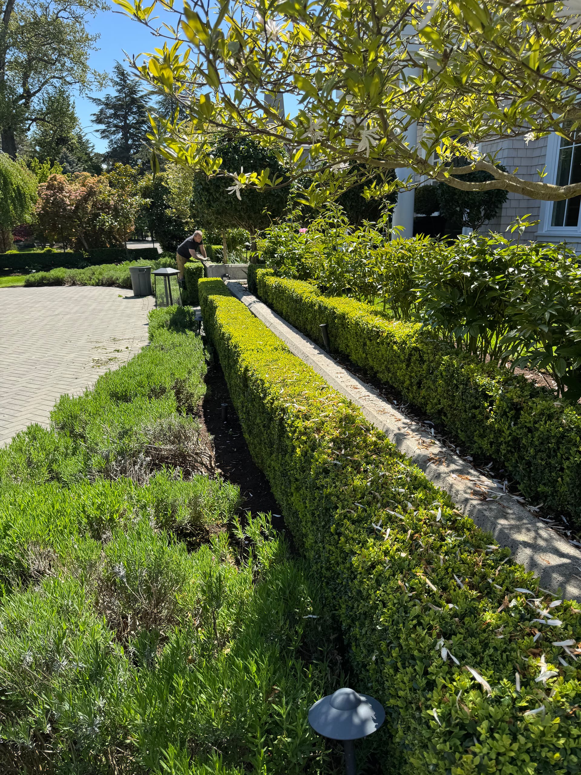 Gallery photos for Garden Maintenance and Hedge Perfection: Image #1