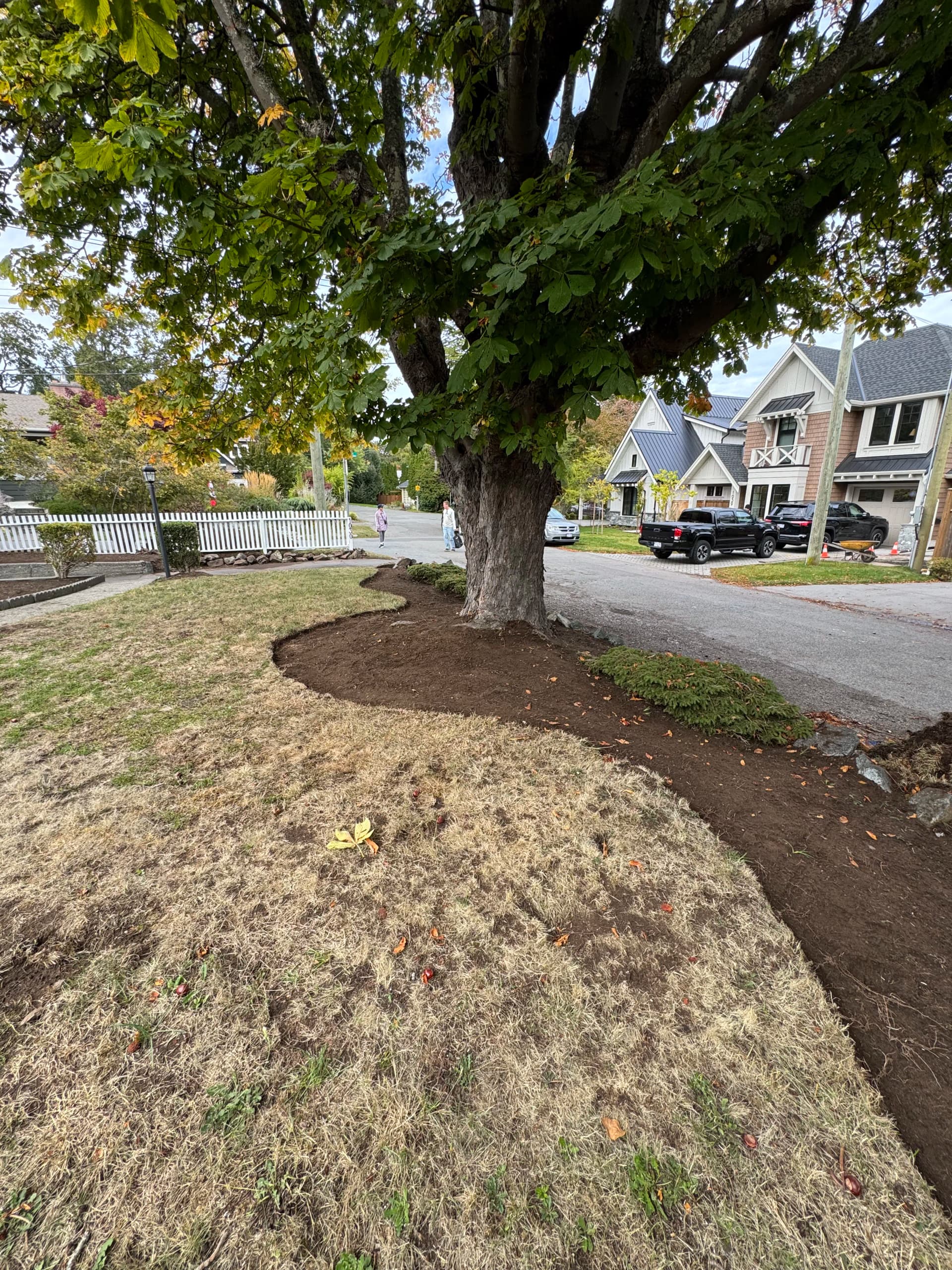 Gallery photos for Front Yard Garden Bed Installation Around a Mature Tree: Image #1