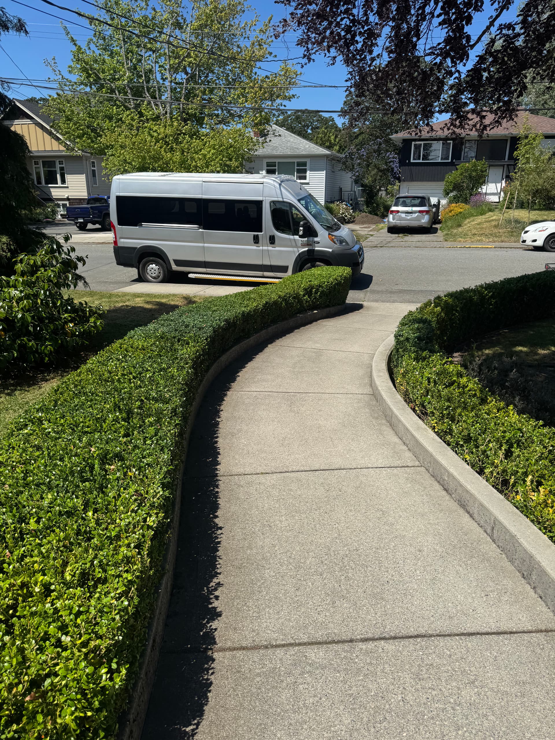 Gallery photos for Boxwood Hedge Trimming That Sharpens Your Whole Front Yard: Image #1