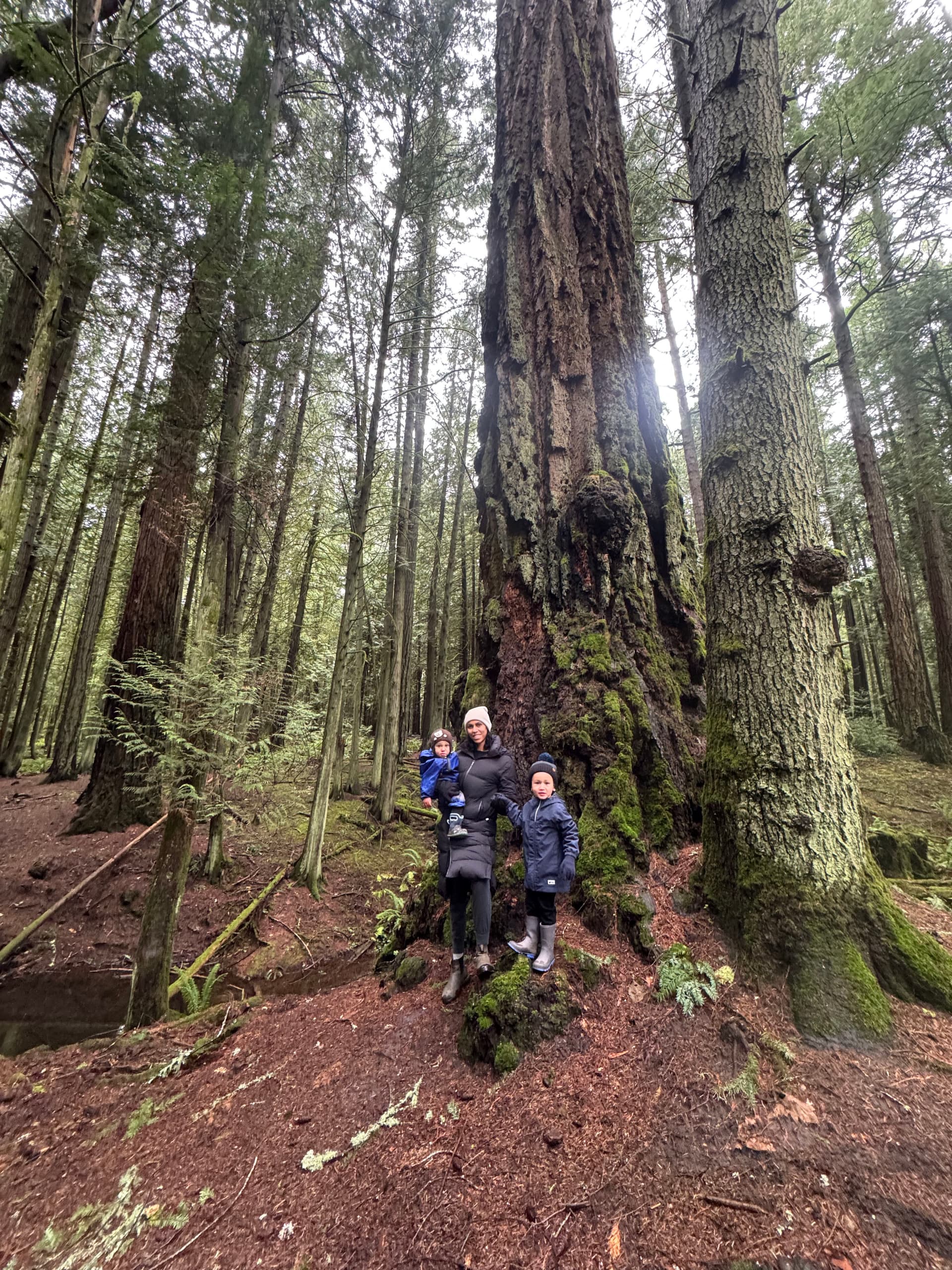 Holiday Break Amidst Nature's Beauty image