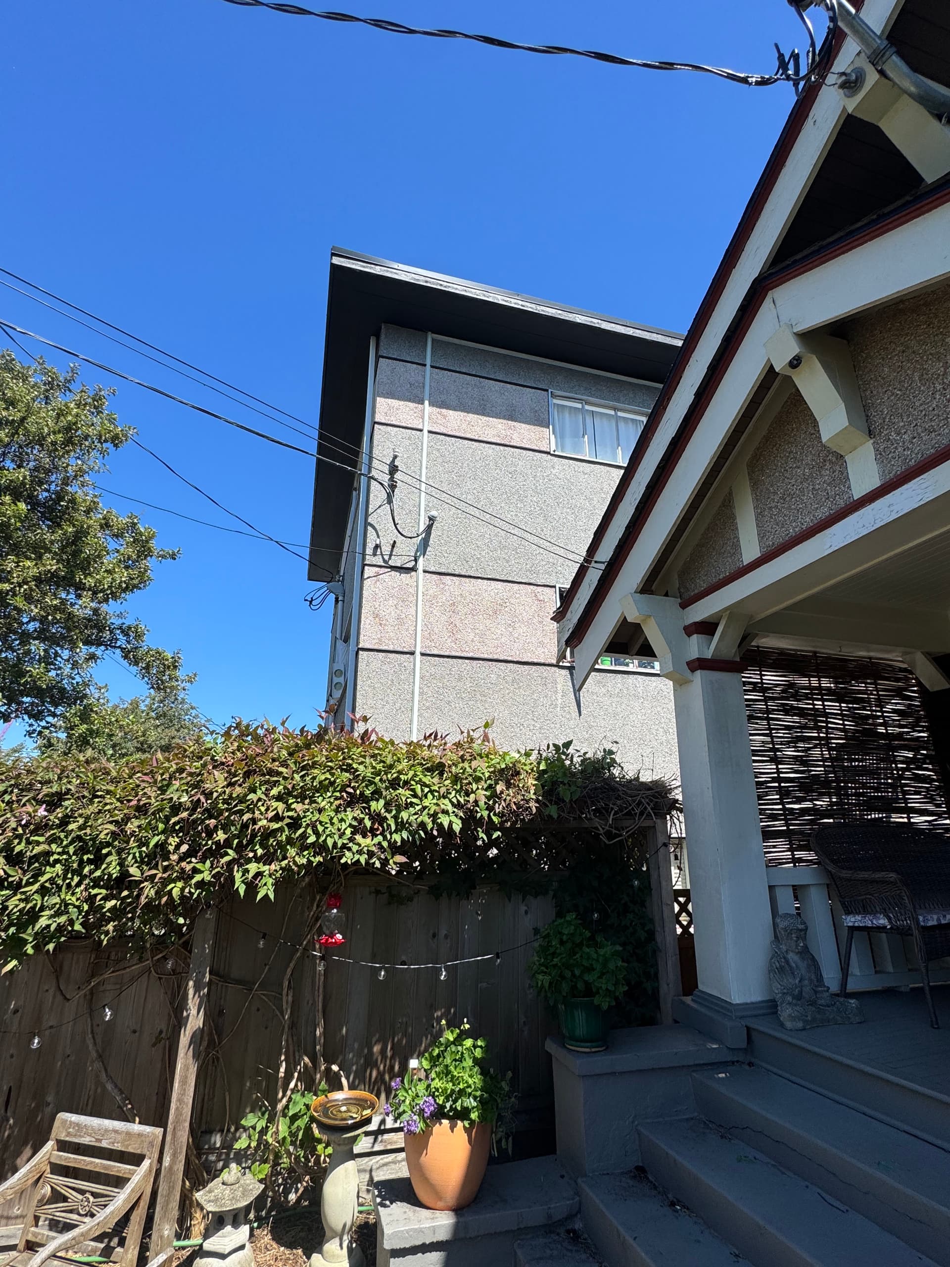 Gallery photos for Clematis Pruning to Protect a Victoria Home's Perimeter: Image #1