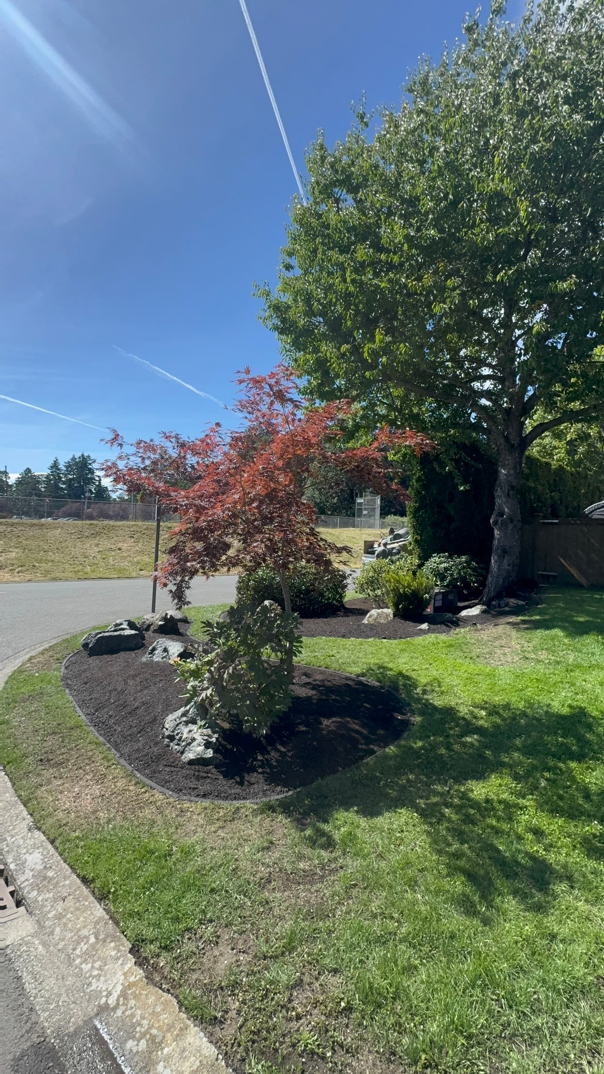 Overgrown Landscape Beds Cleaned Up and Looking Sharp Again image