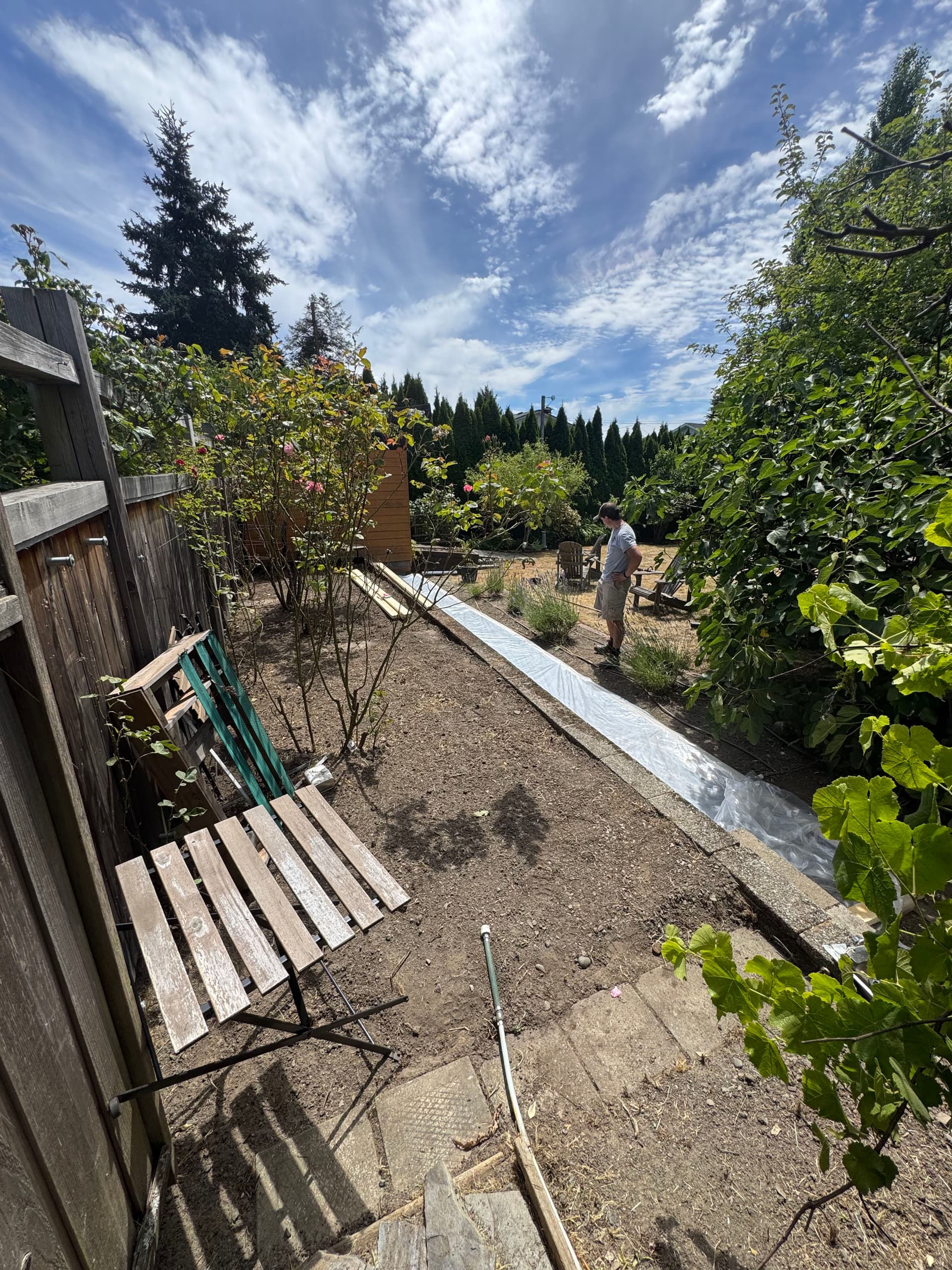 Gallery photos for Solarizing Overgrown Garden Beds for a Weed-Free Fresh Start: Image #1