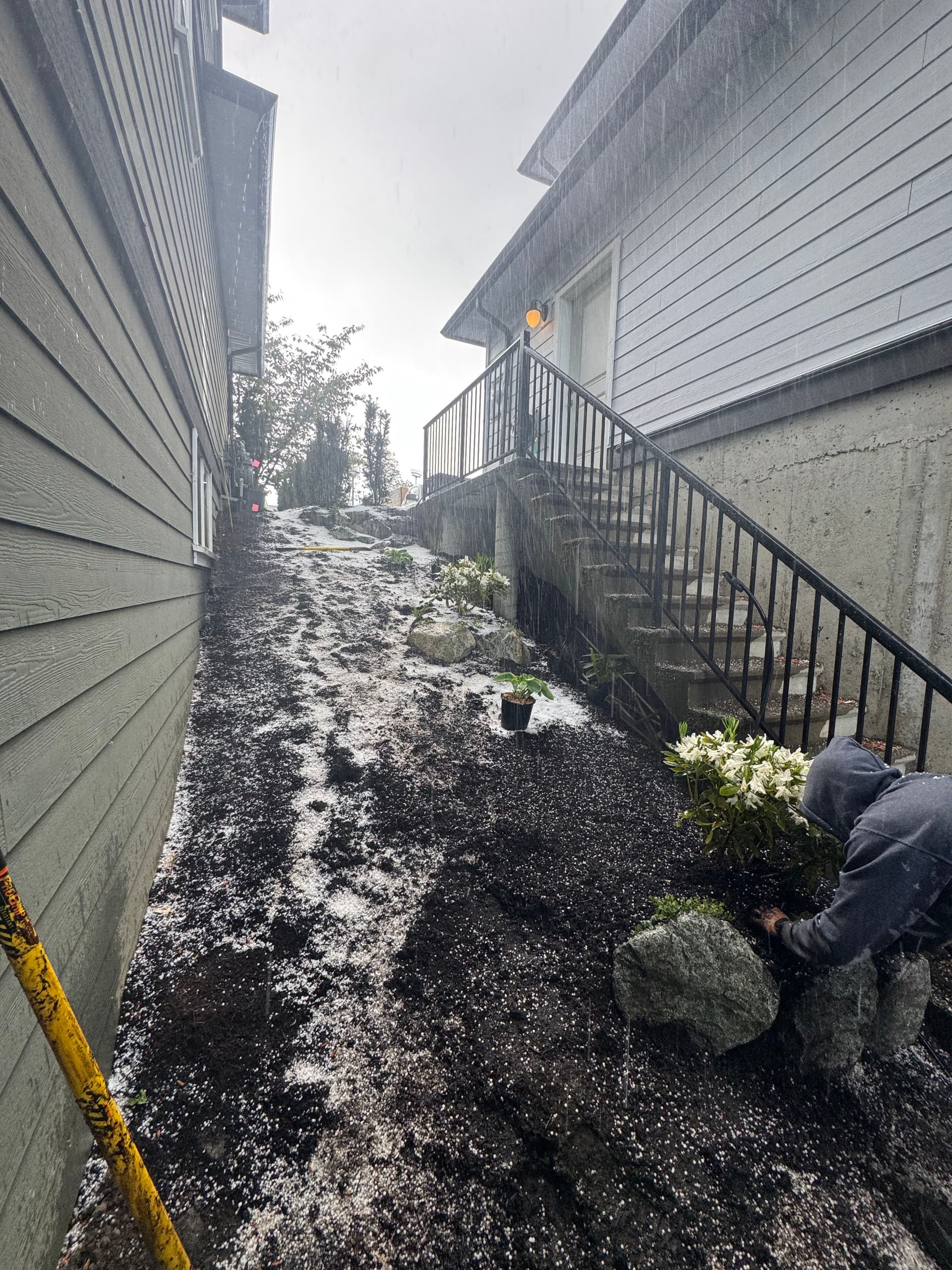 Gallery photos for Sloped Front Yard Landscape Installation in Langford: Image #3