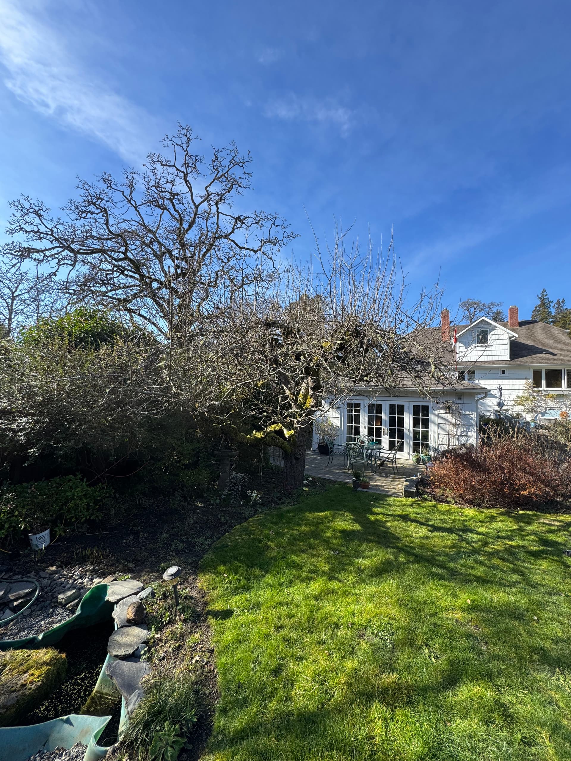 Turning Gardens Into Magical Spaces From Dawn Till Dusk image