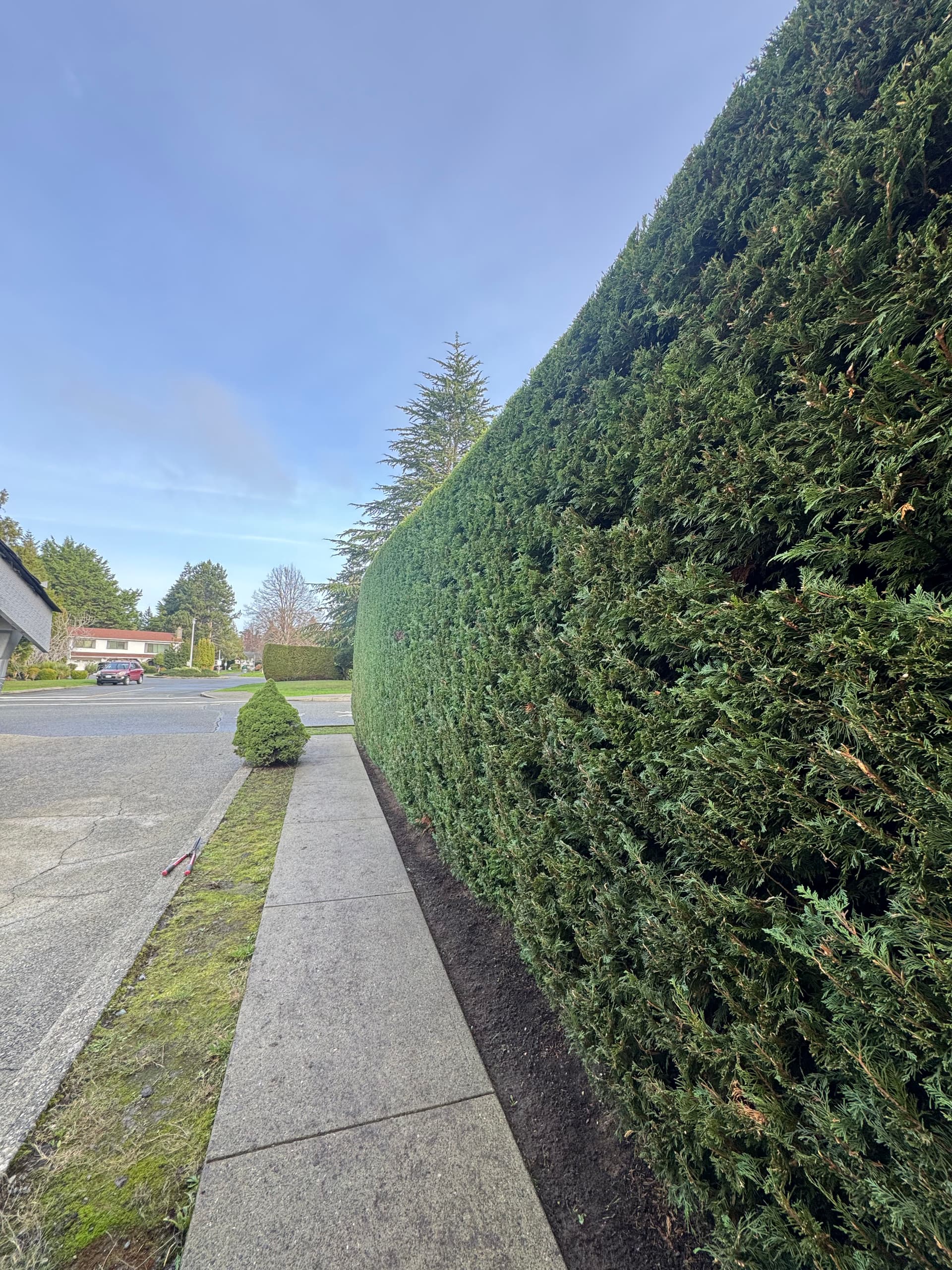 Gallery photos for The Friendly Gardener Keeps Pathways Perfectly Trimmed: Image #1