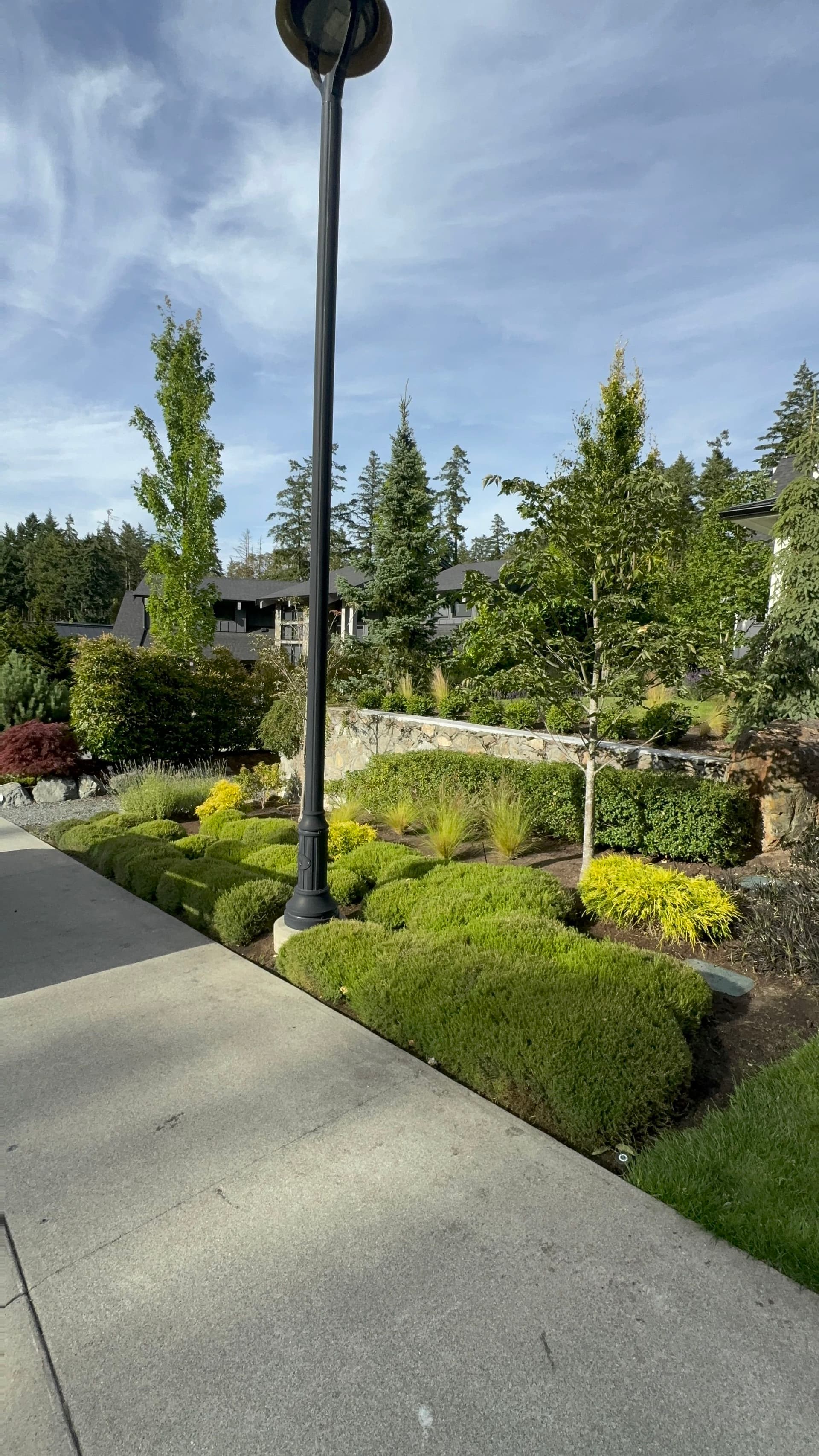 Gallery photos for Heather Pruning That Makes the Whole Yard Look Sharp: Image #3