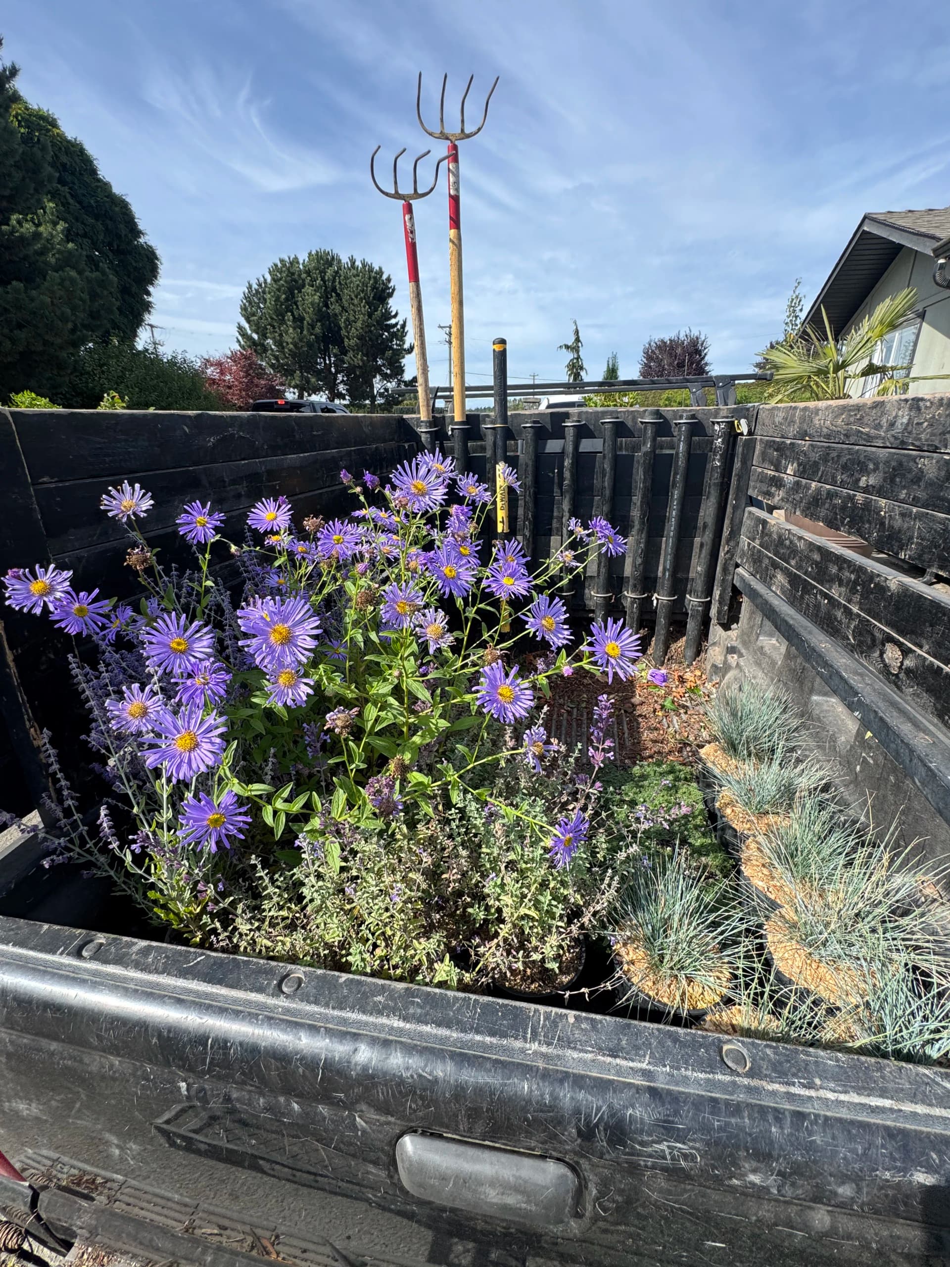 Gallery photos for Front Yard Garden Bed Install That Earns Its Curb Appeal: Image #2