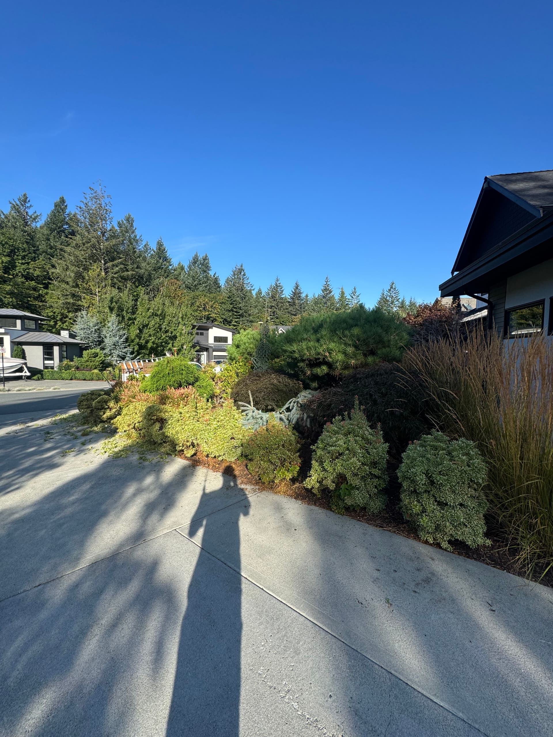 Gallery photos for River Rock Borders and Summer Shrub Pruning Done Right: Image #1