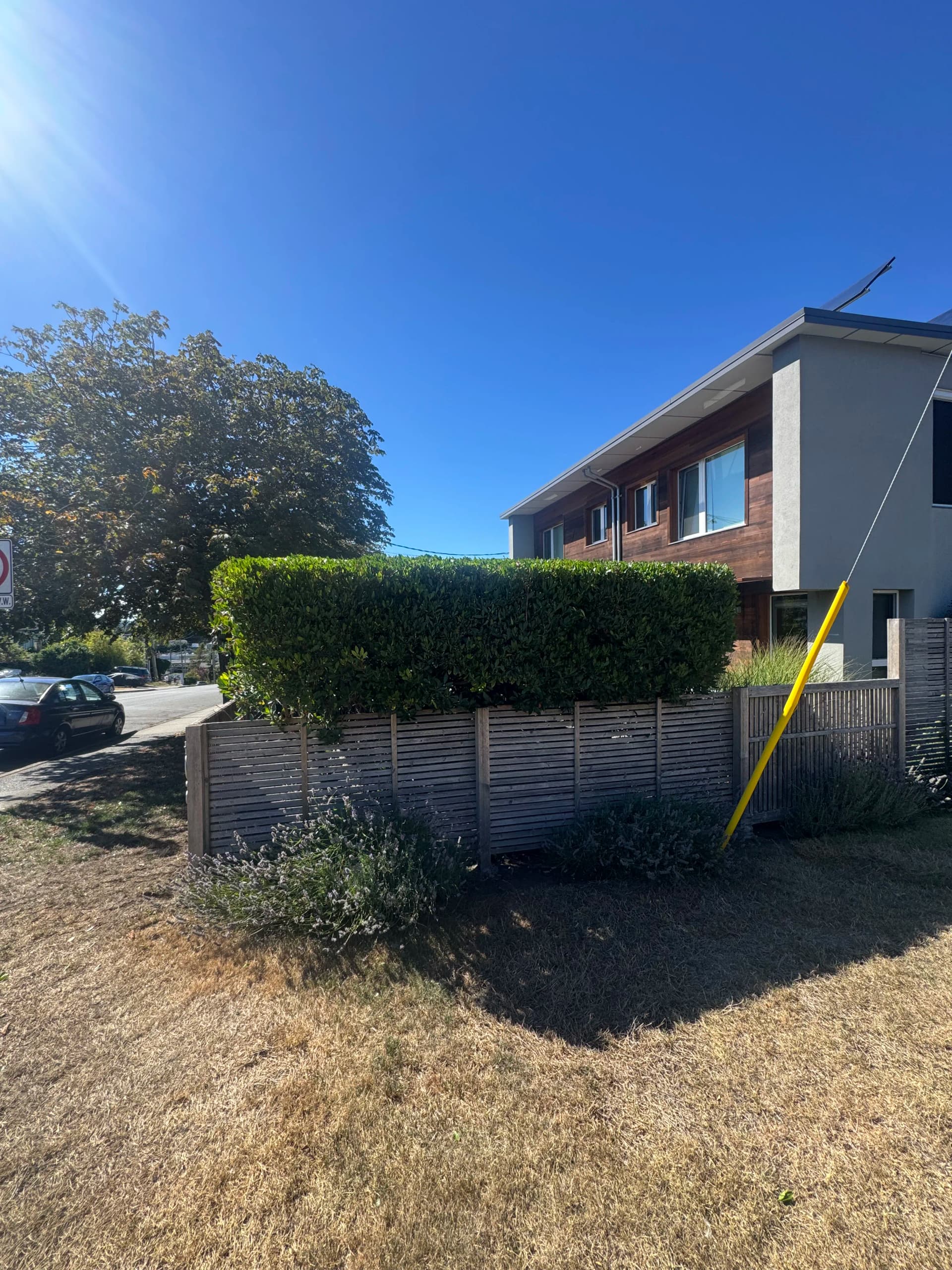 Gallery photos for Sharp Hedge Trim That Makes a Property Look Cared For: Image #1