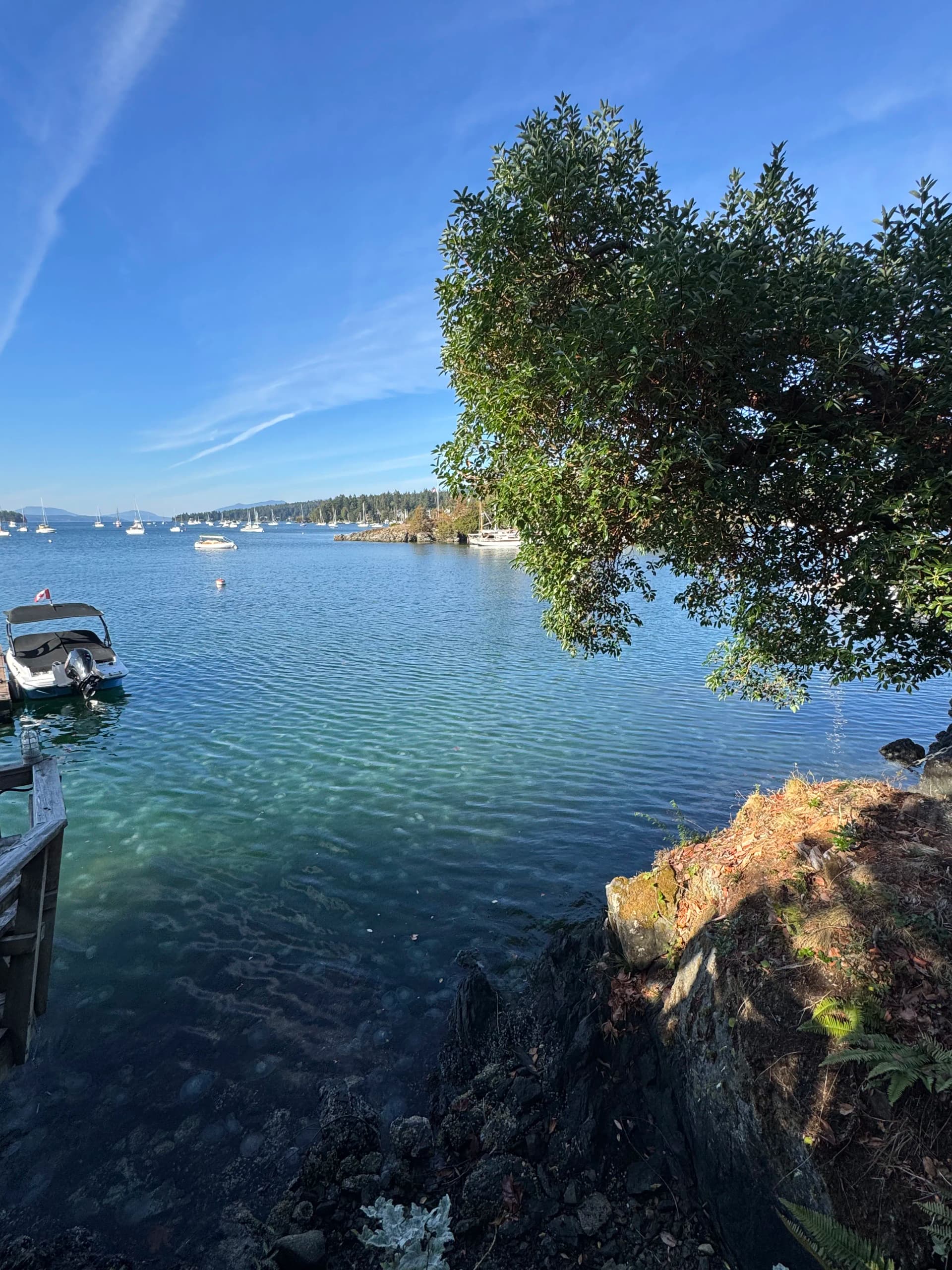 Island Garden Care With Views That Stop You Cold image