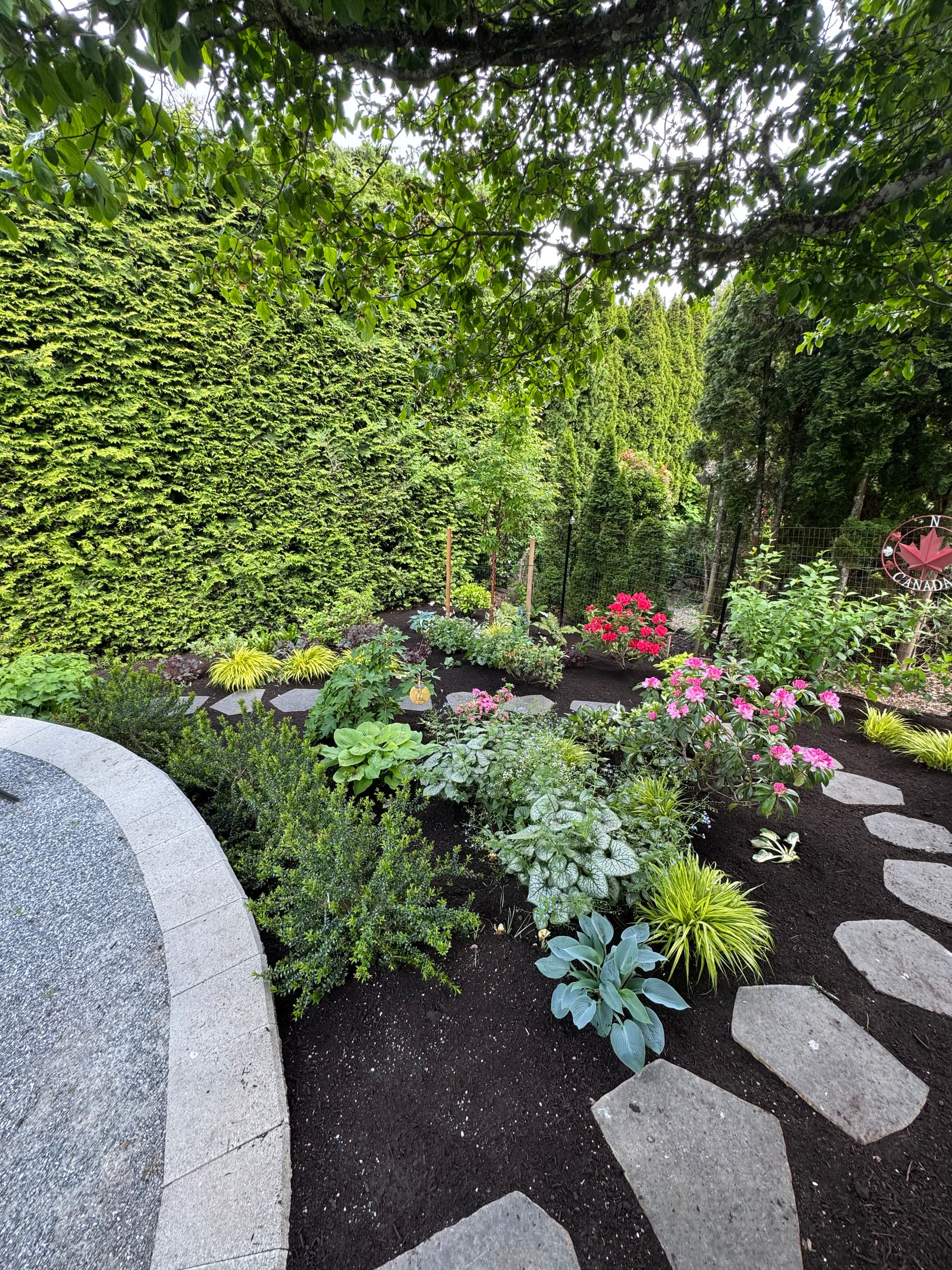 Gallery photos for A Stone Path Garden That Actually Gets Better Every Year: Image #1