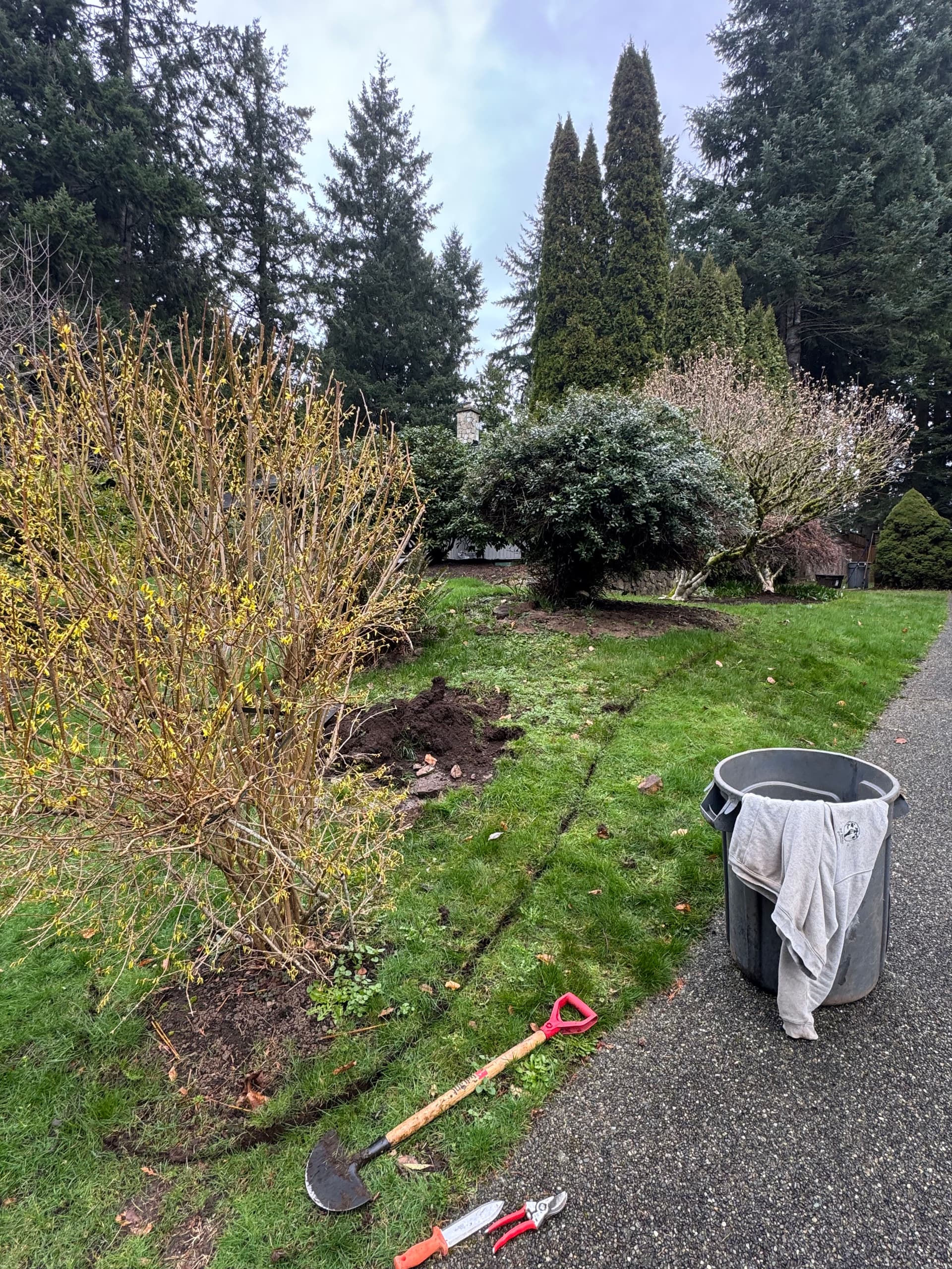 Gallery photos for From Lawn to Lovely Garden: Image #1