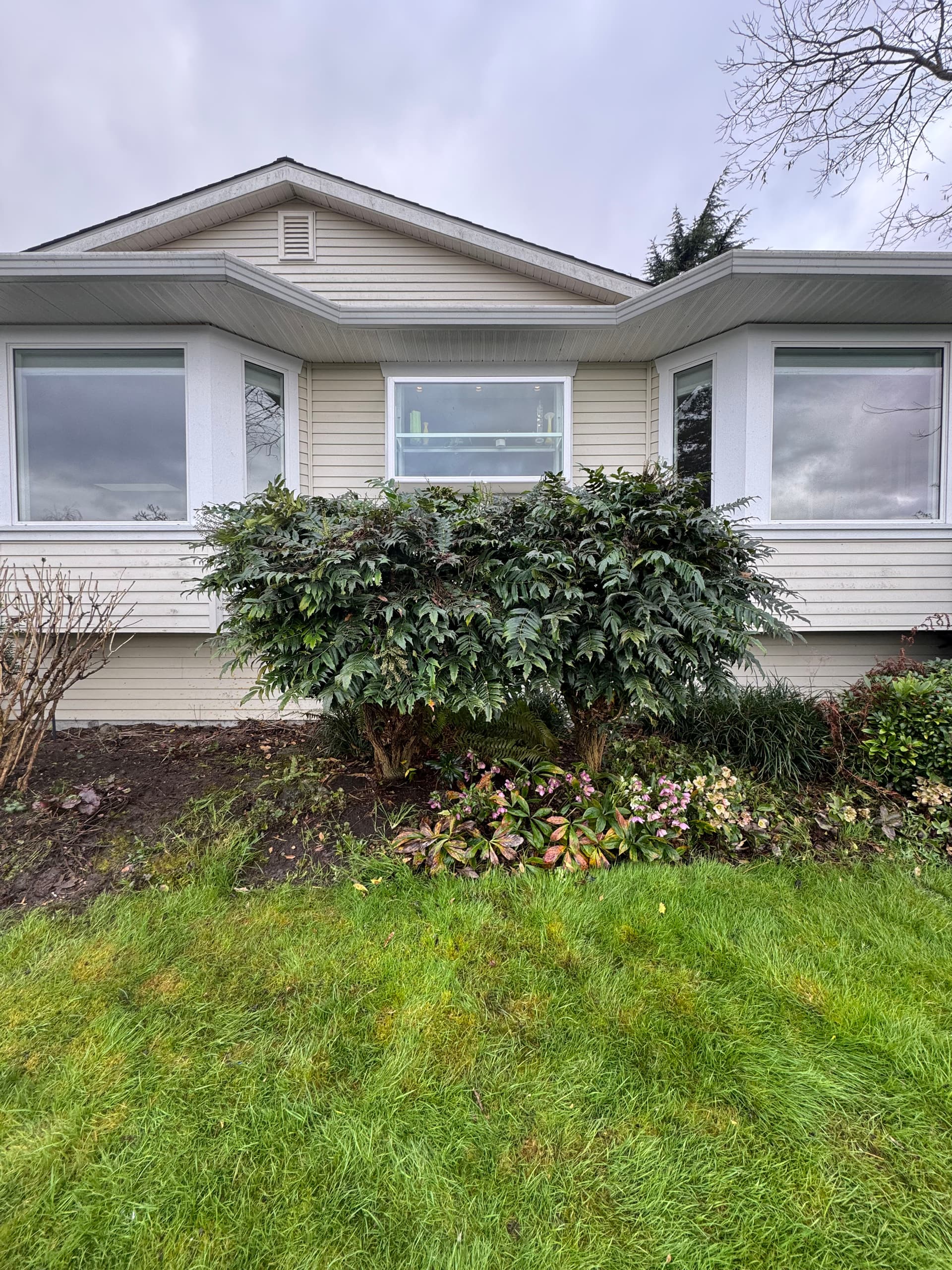 Gallery photos for Perfectly Pruned for a Clearer View: Image #1