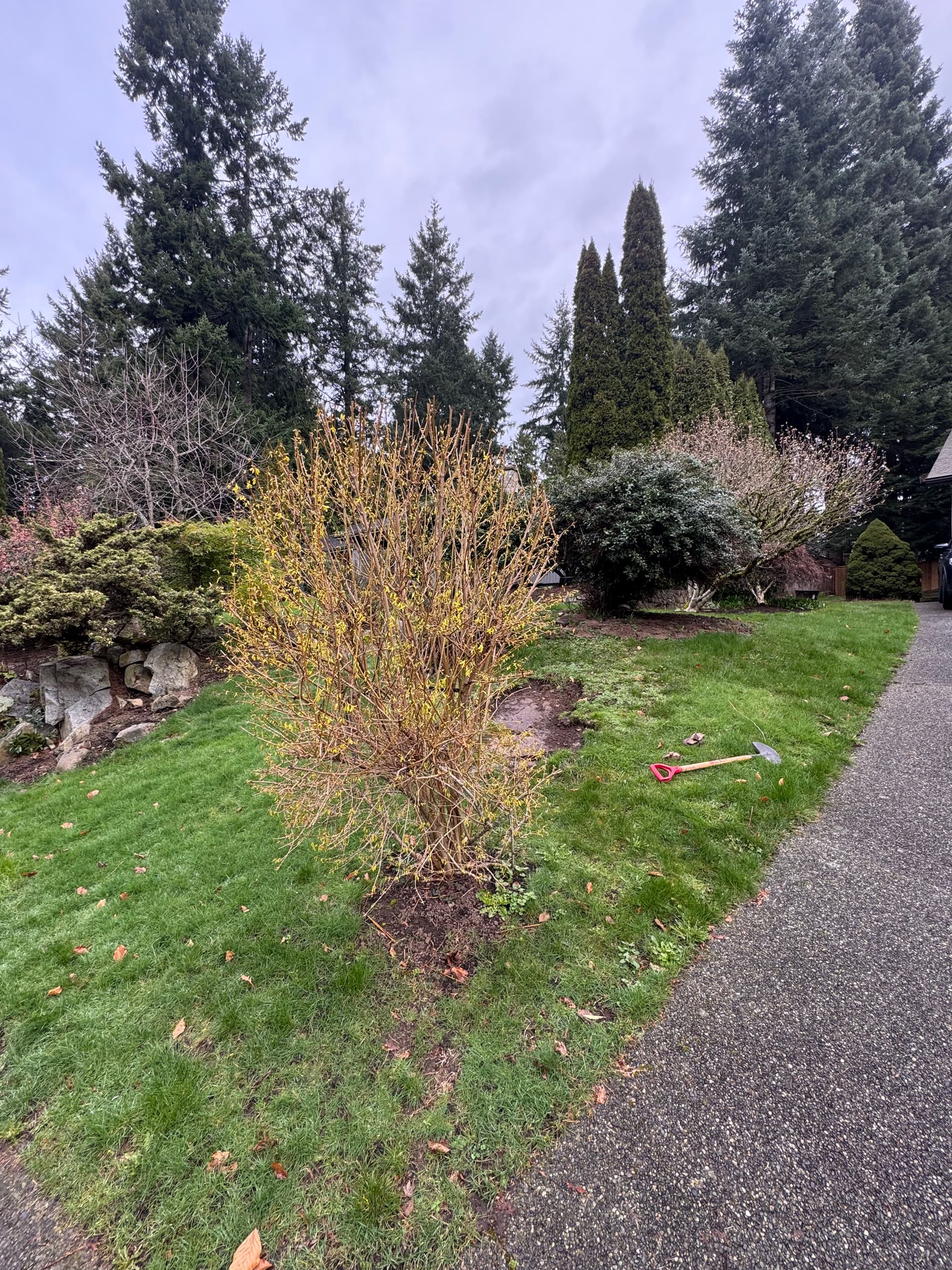 Gallery photos for From Lawn to Lovely Garden: Image #2