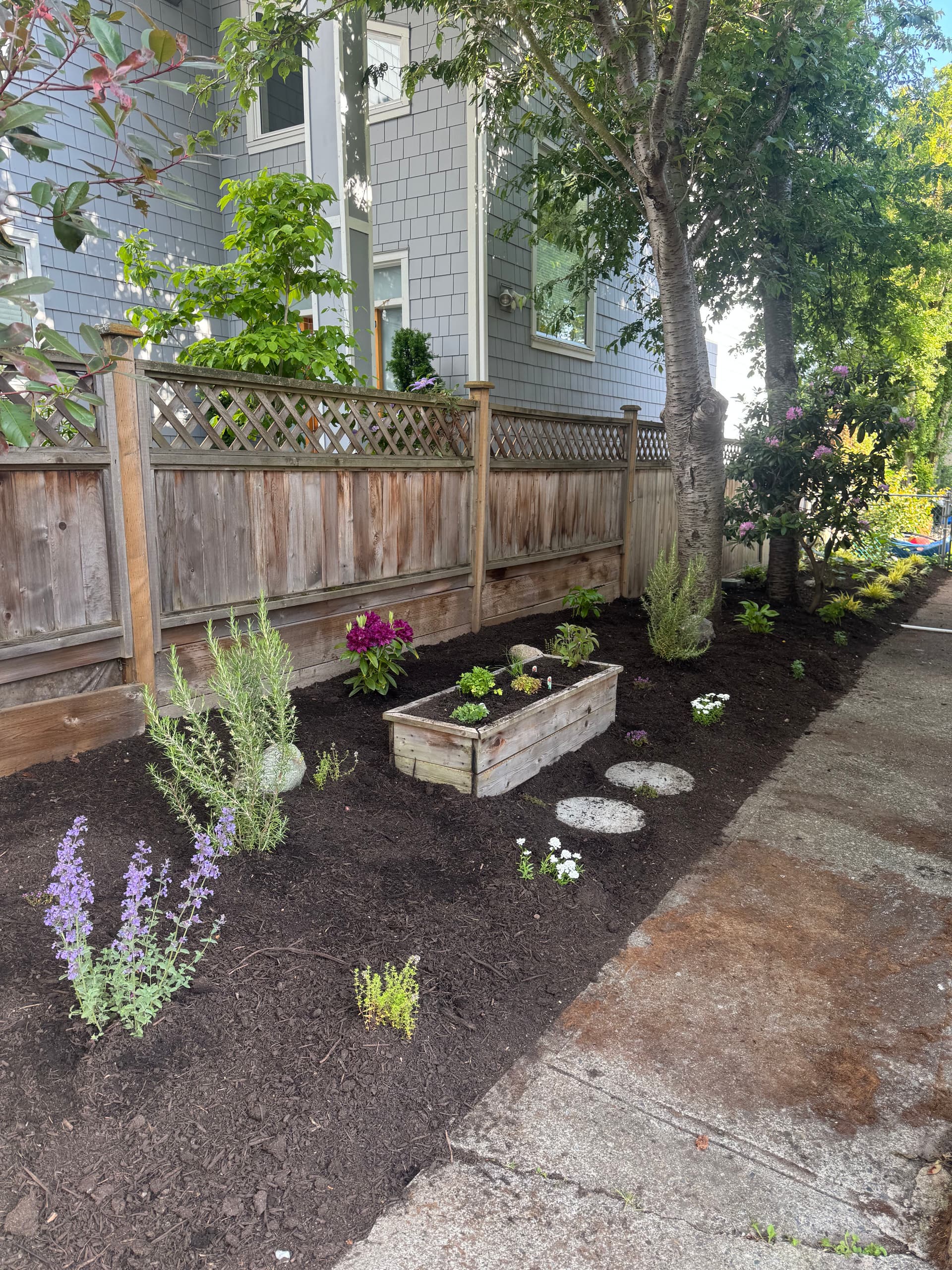 Gallery photos for Turning a Forgotten Side Yard Into a Garden Worth Noticing: Image #1