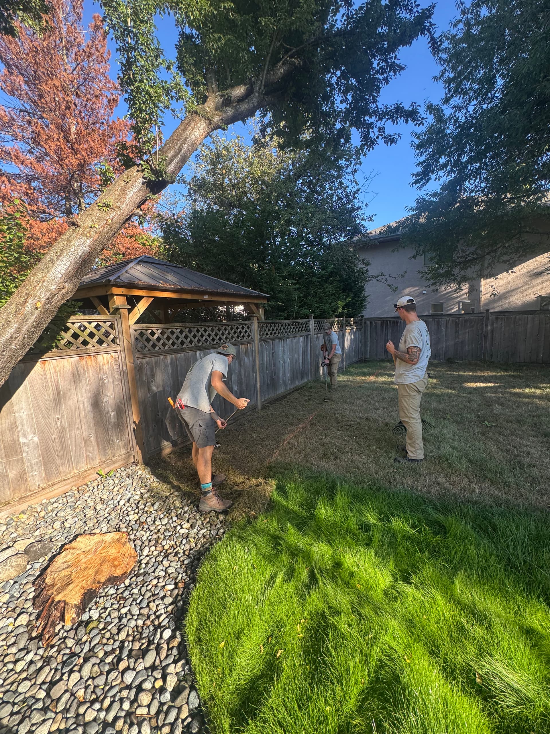 Gallery photos for Turning a Hard-to-Manage Fence Line Into a Low-Maintenance Garden: Image #2