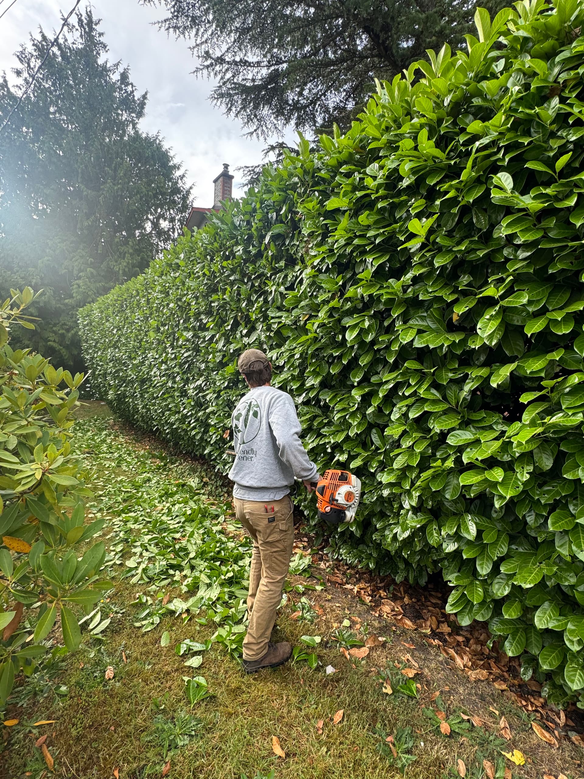 Gallery photos for Josh Is Hitting His Stride With Hedge Trimming: Image #2